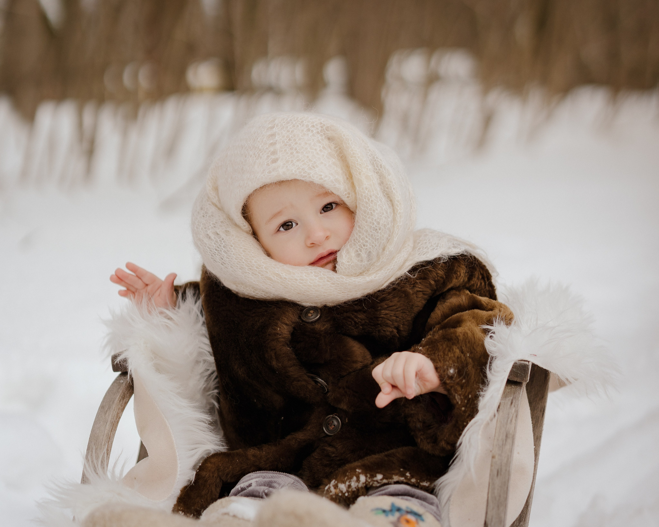 Ariana. Портретный и семейный фотограф в Москве/Видное