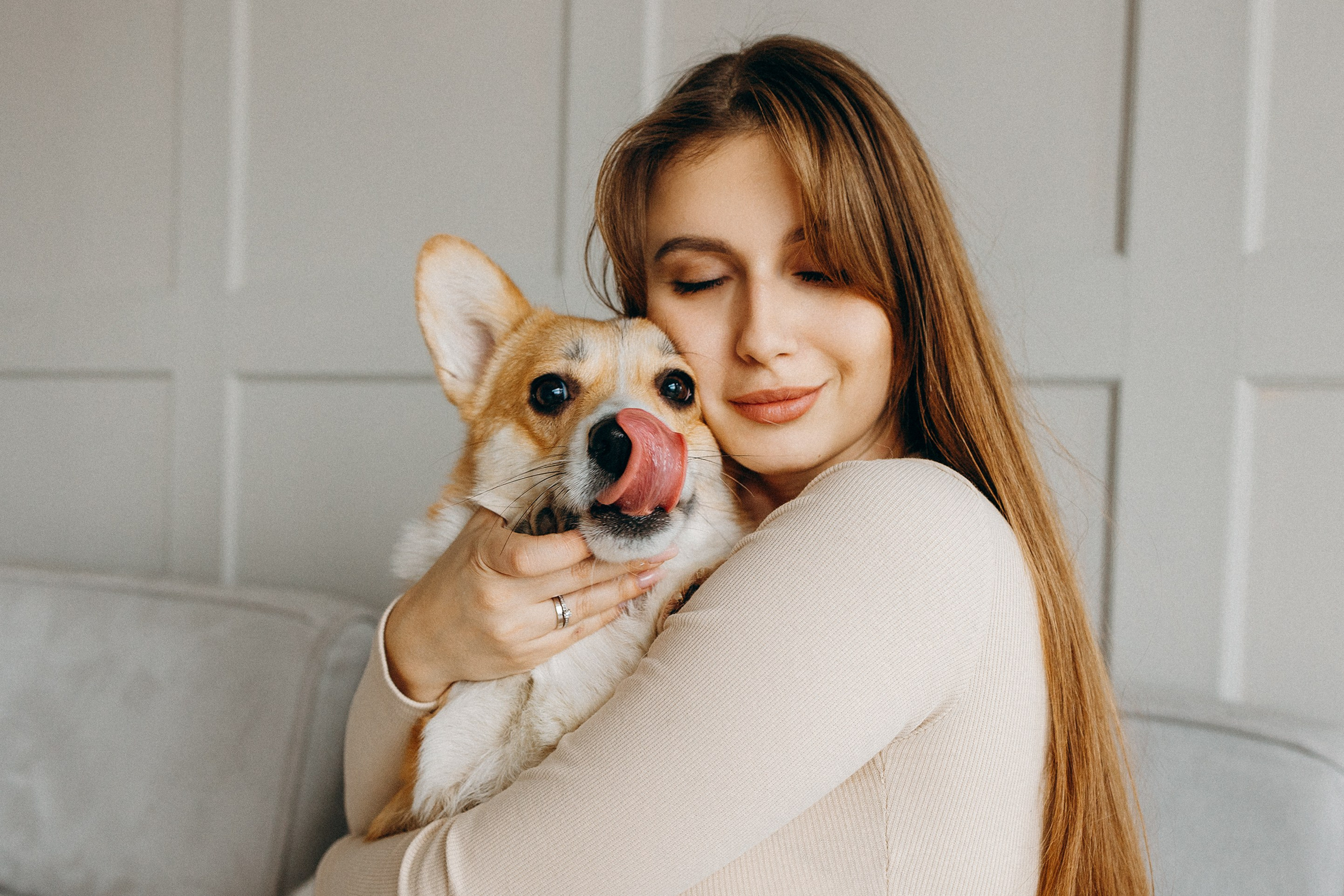 Семья с корги. Фотограф. Фотограф-анималист. Москва