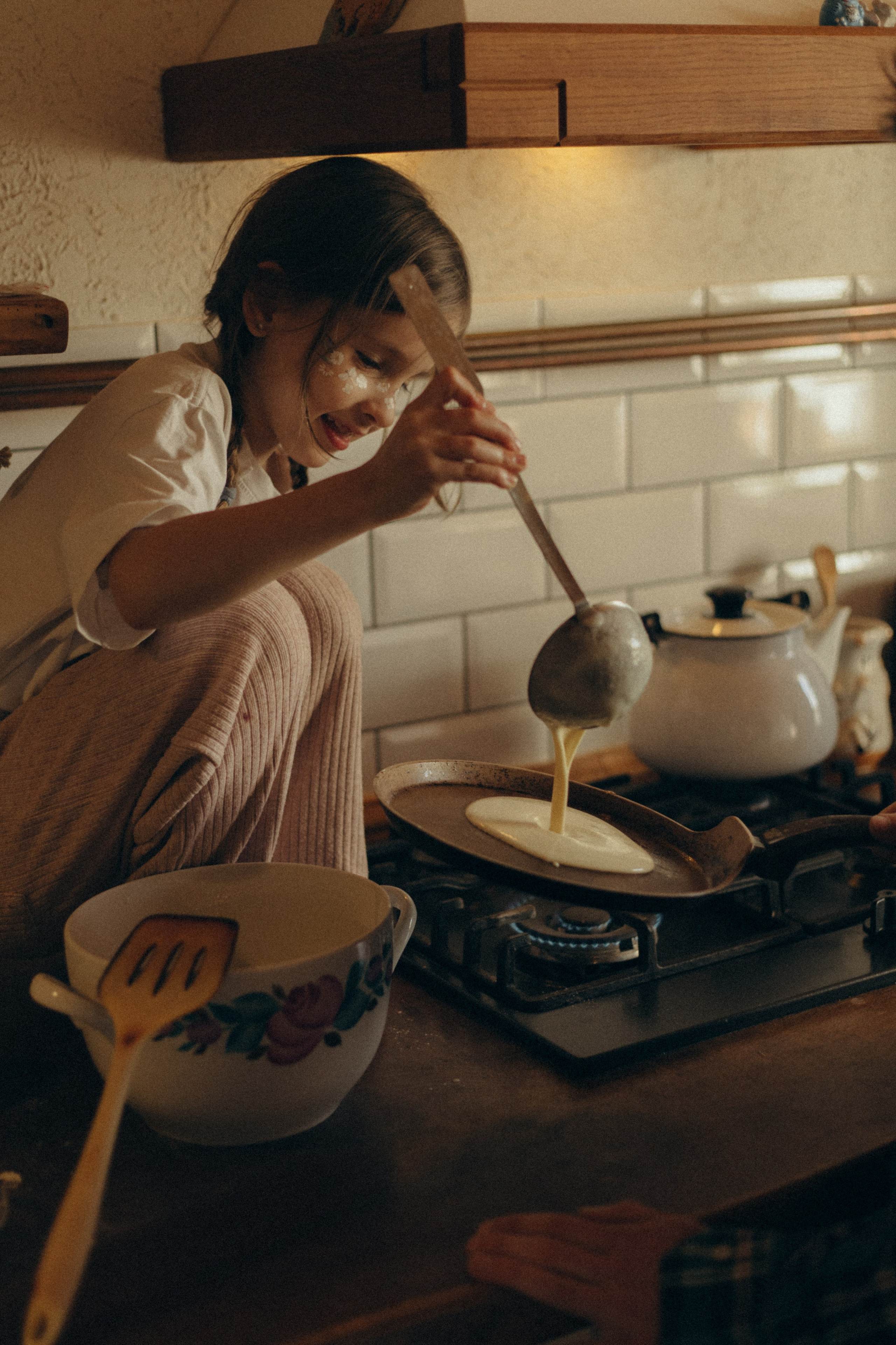 Домашняя история. Meryfotoidea