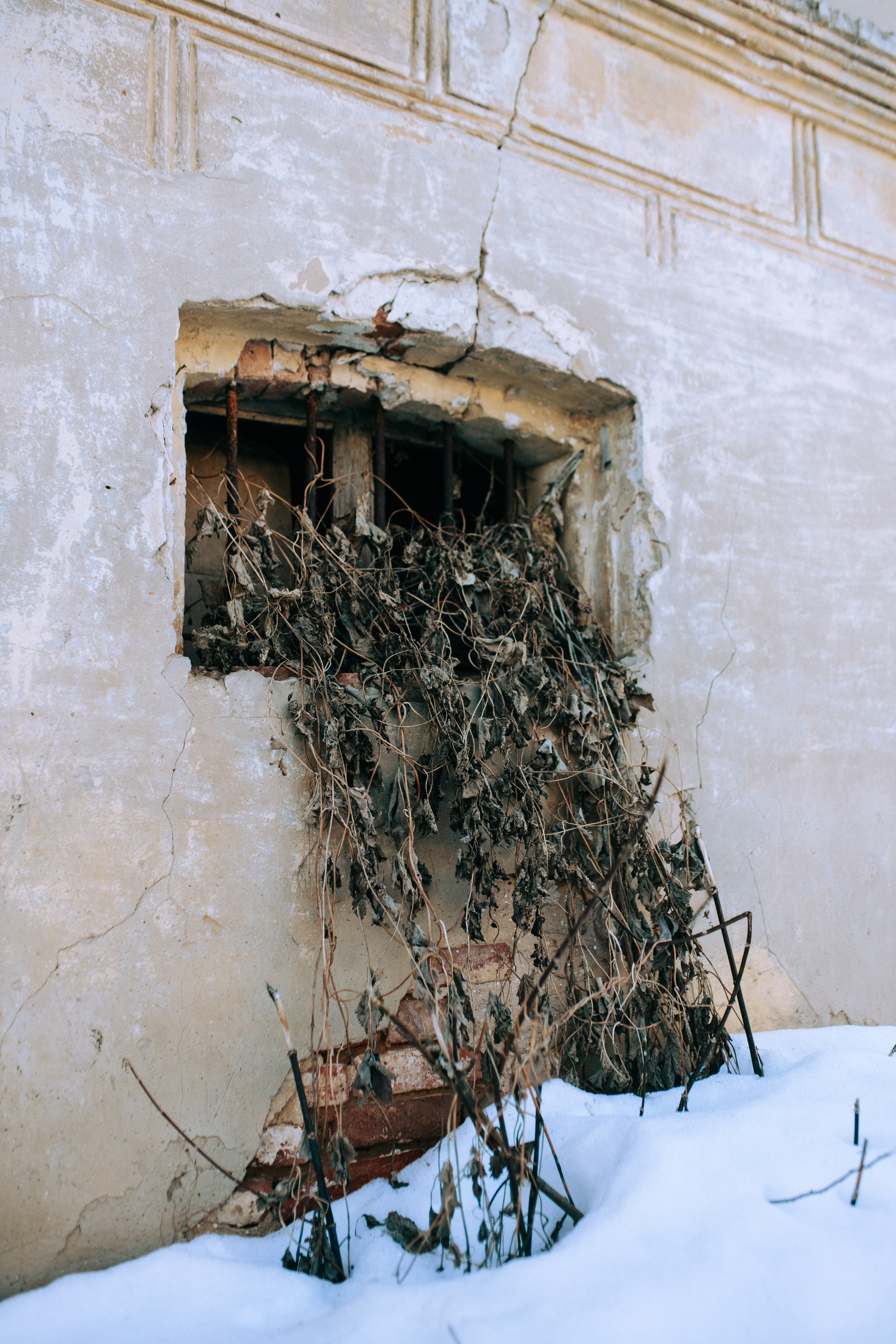 Ефремов. Свадебный и портретный фотограф — Мария Костина