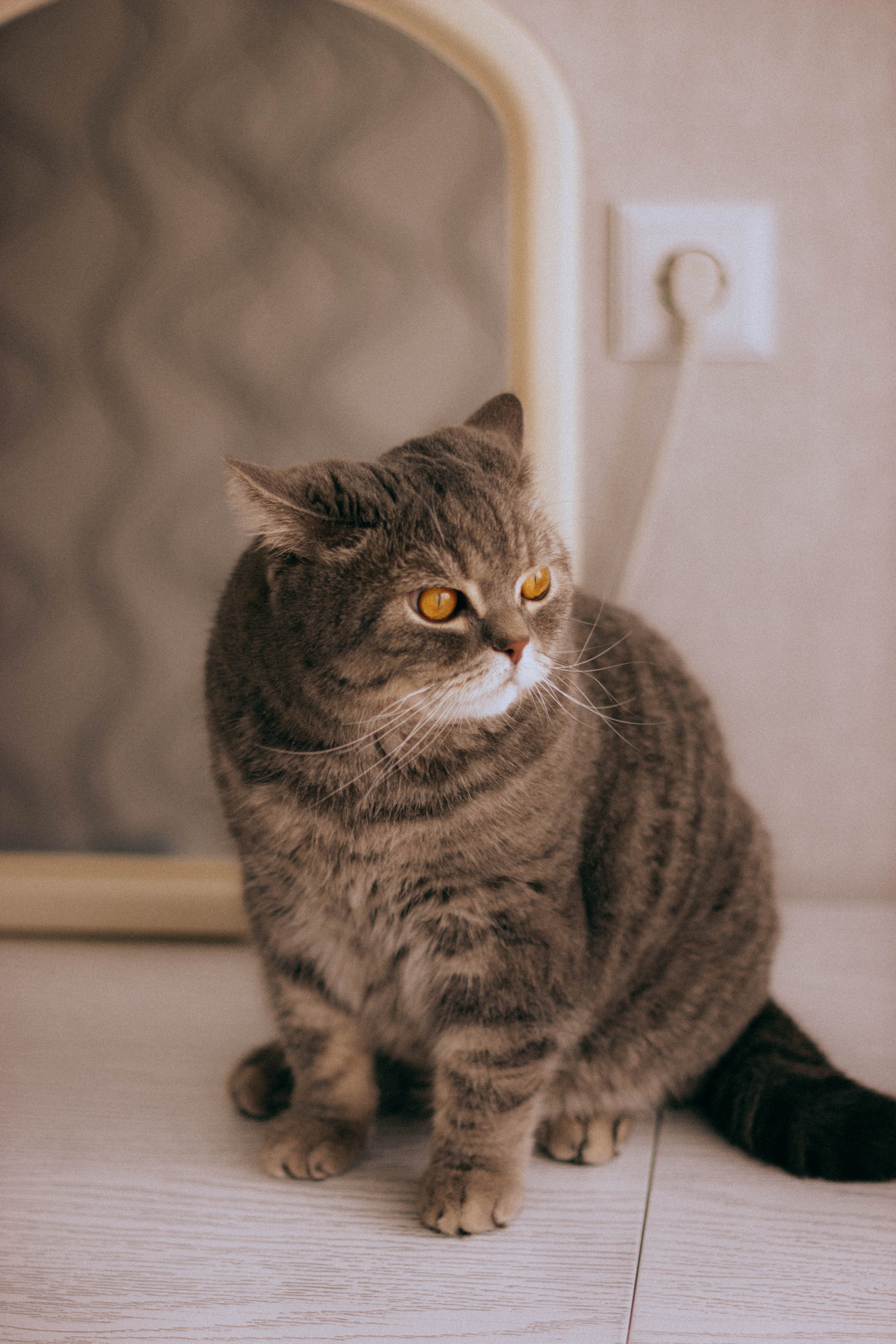 Костя+Юля. Свадебный фотограф Анастасия