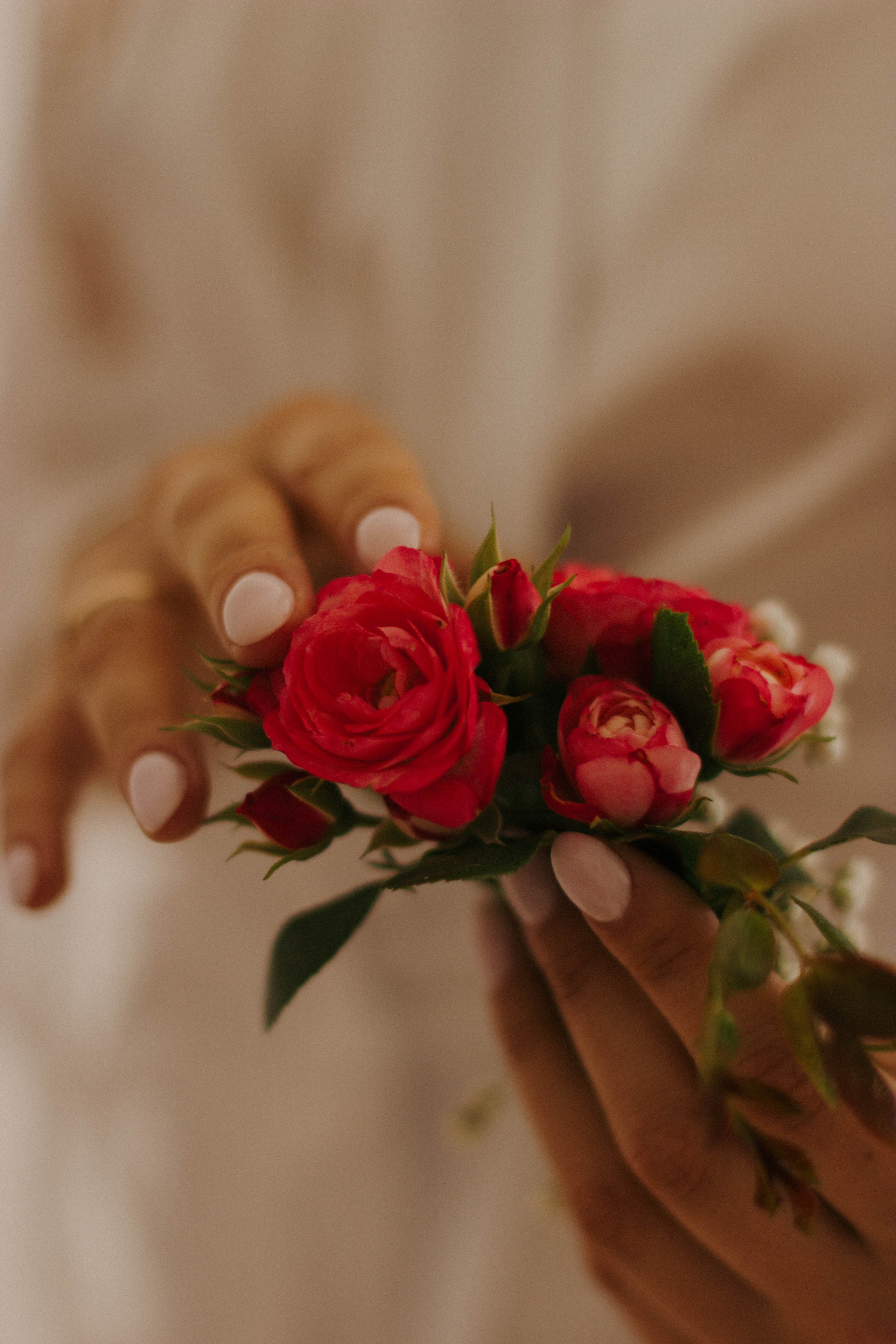 Данил+Света. Свадебный фотограф Анастасия