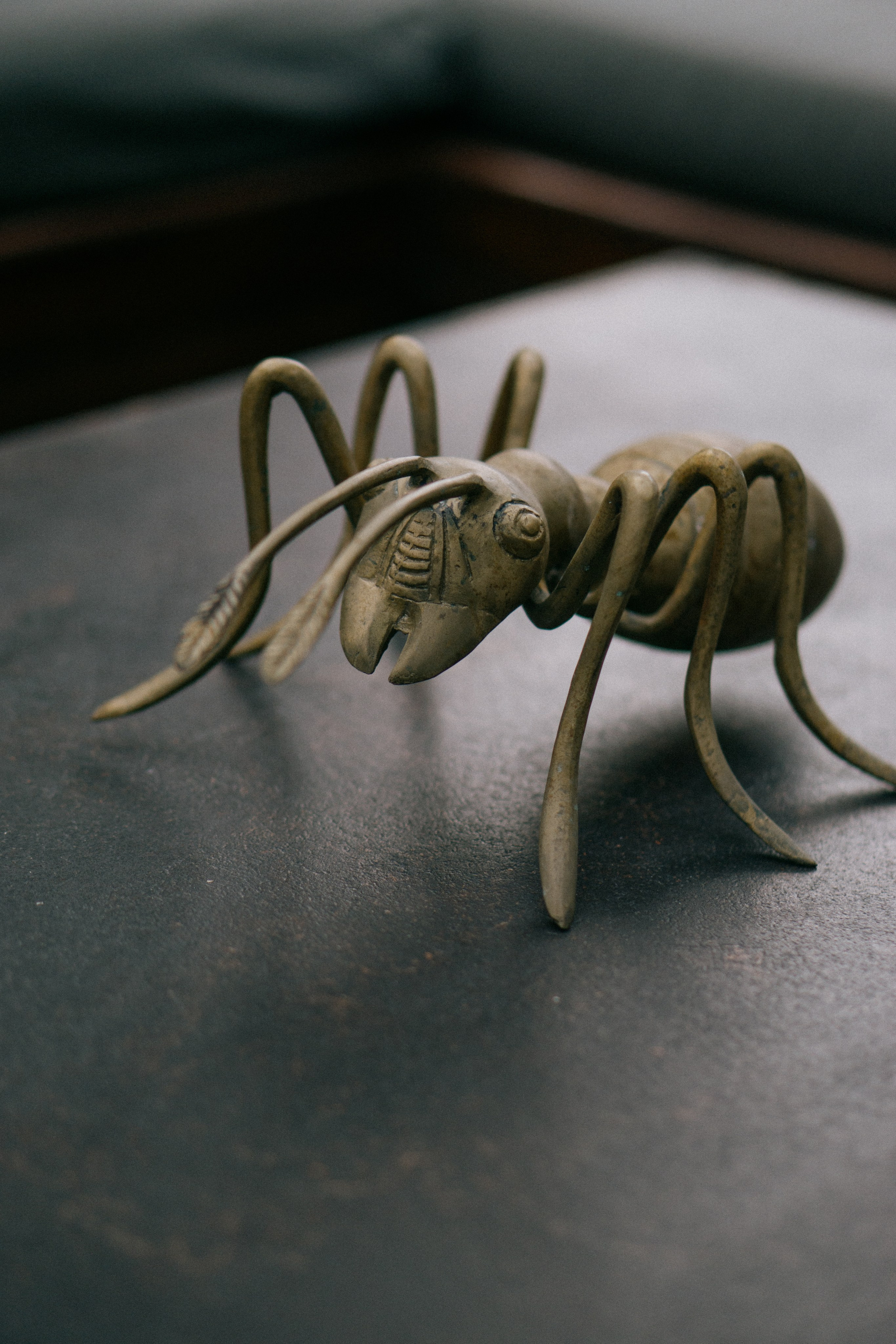 Интерьеры. Анна Шадричева / Портретный фотограф / Москва и Калуга