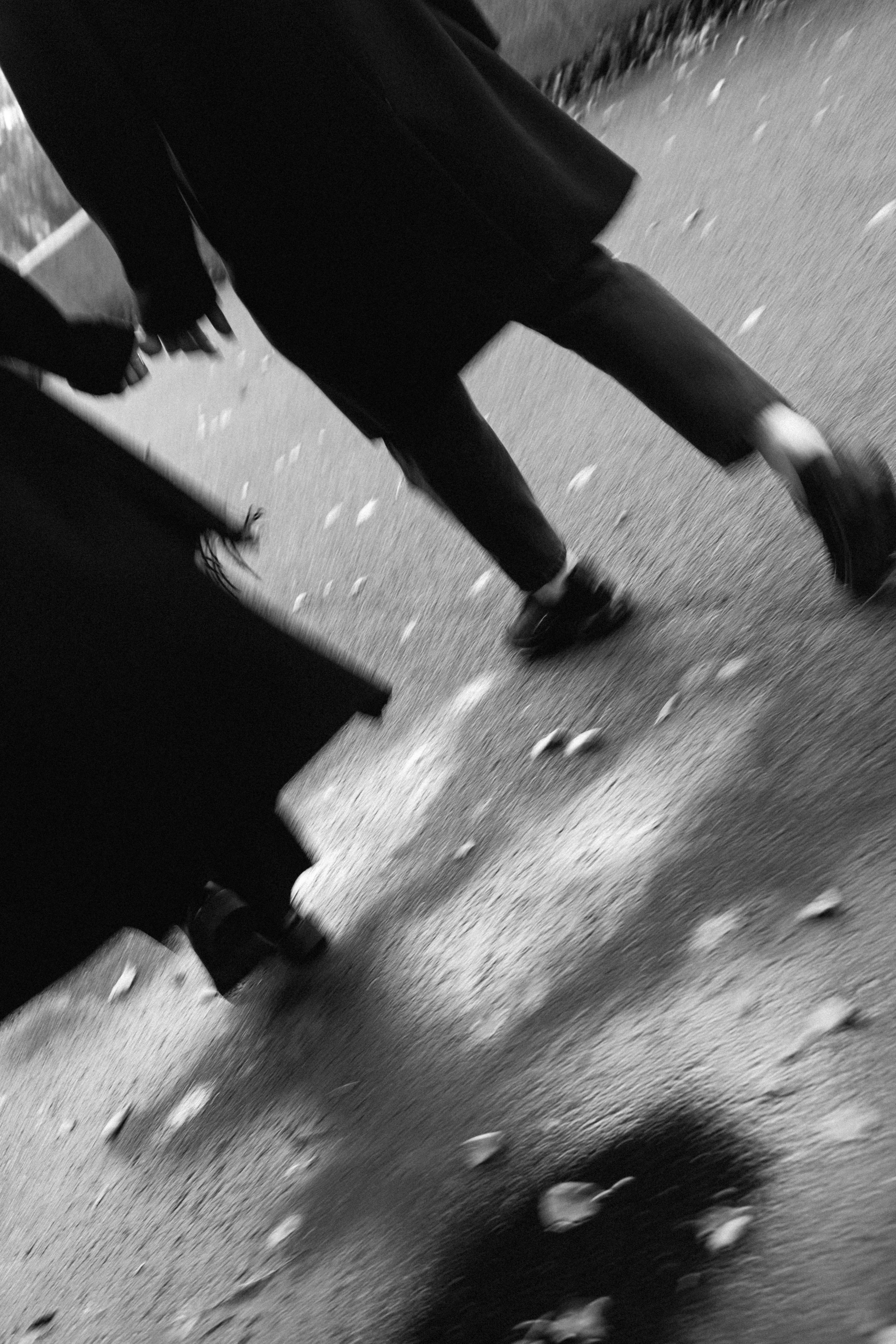 Анастасия & Никита. Свадебный и портретный фотограф Соломко Диана