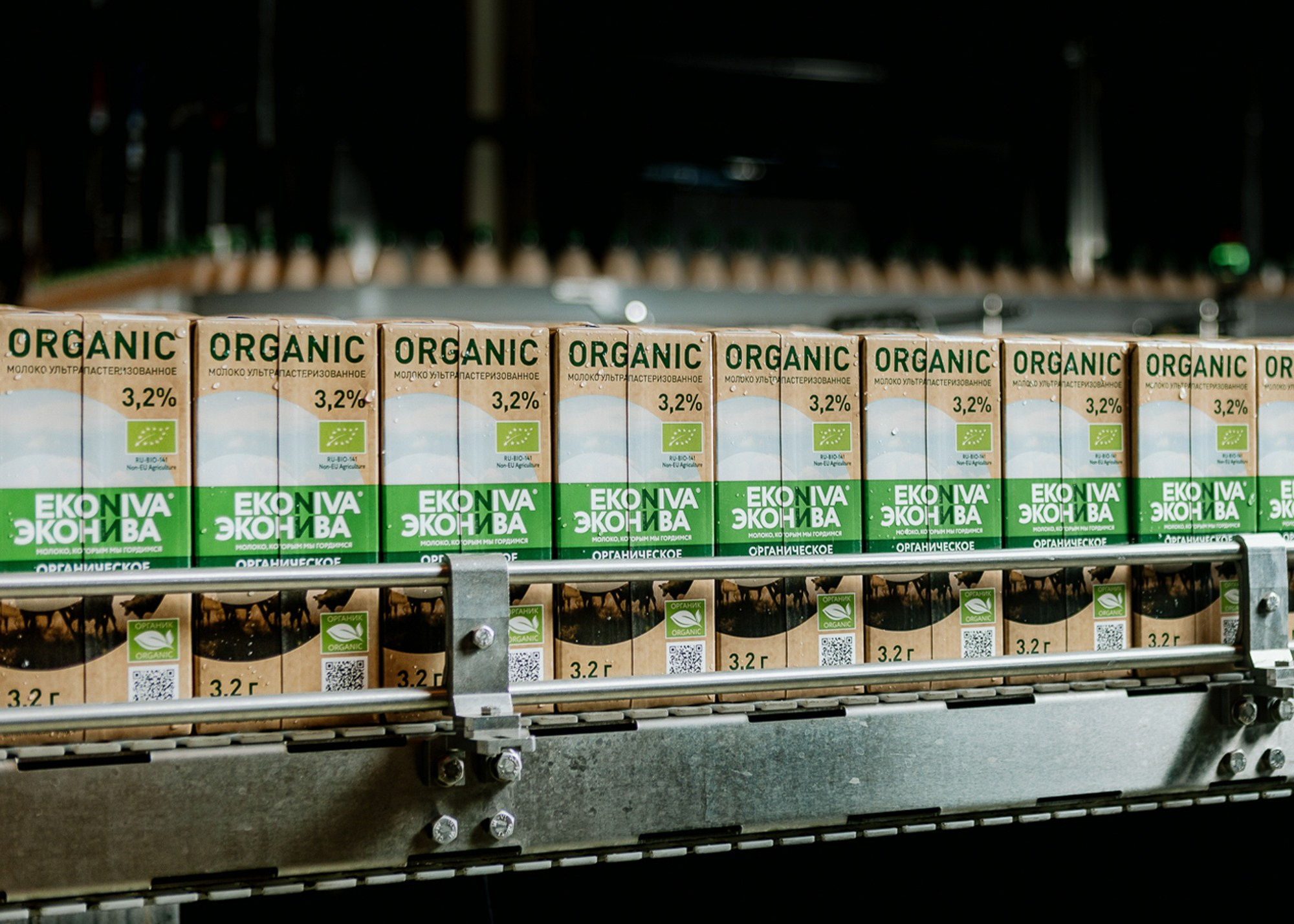 Розлив молока на заводе EkoNiva