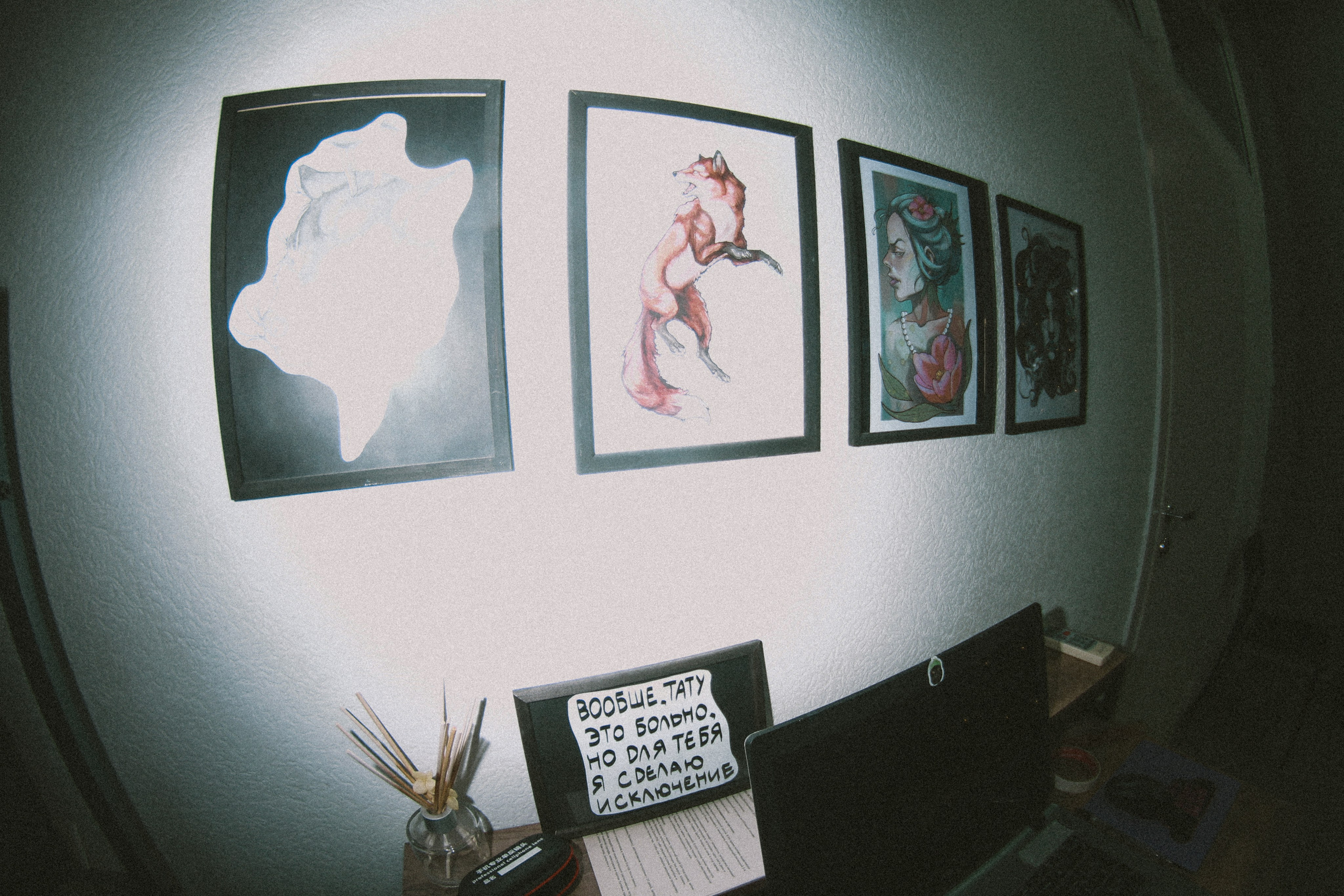 Bobo. Фотограф Мурманск | Нижний Новгород • Анна Хижняк