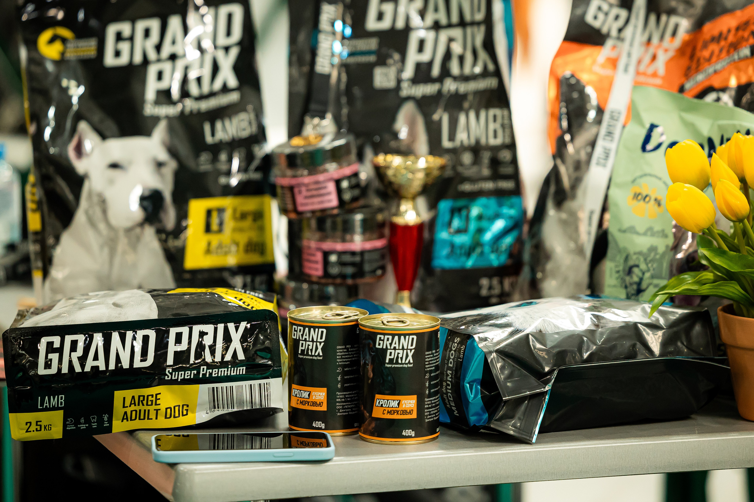 Выставка сеттеров 19.05.24