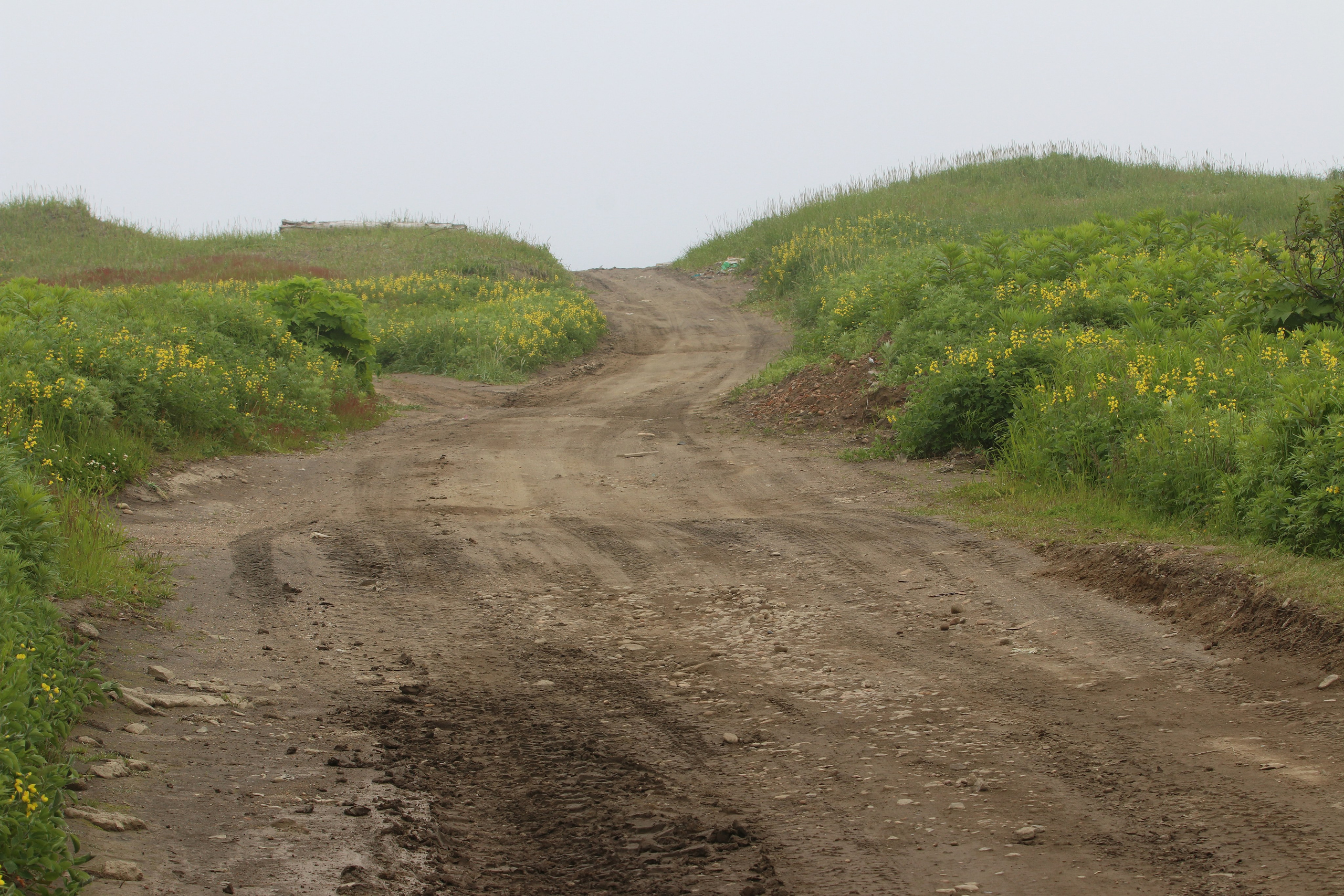 Камчатка и о. Парамушир. Июль 2024. Путешественник-фотограф из Санкт-Петербурга Татьяна Свистулина