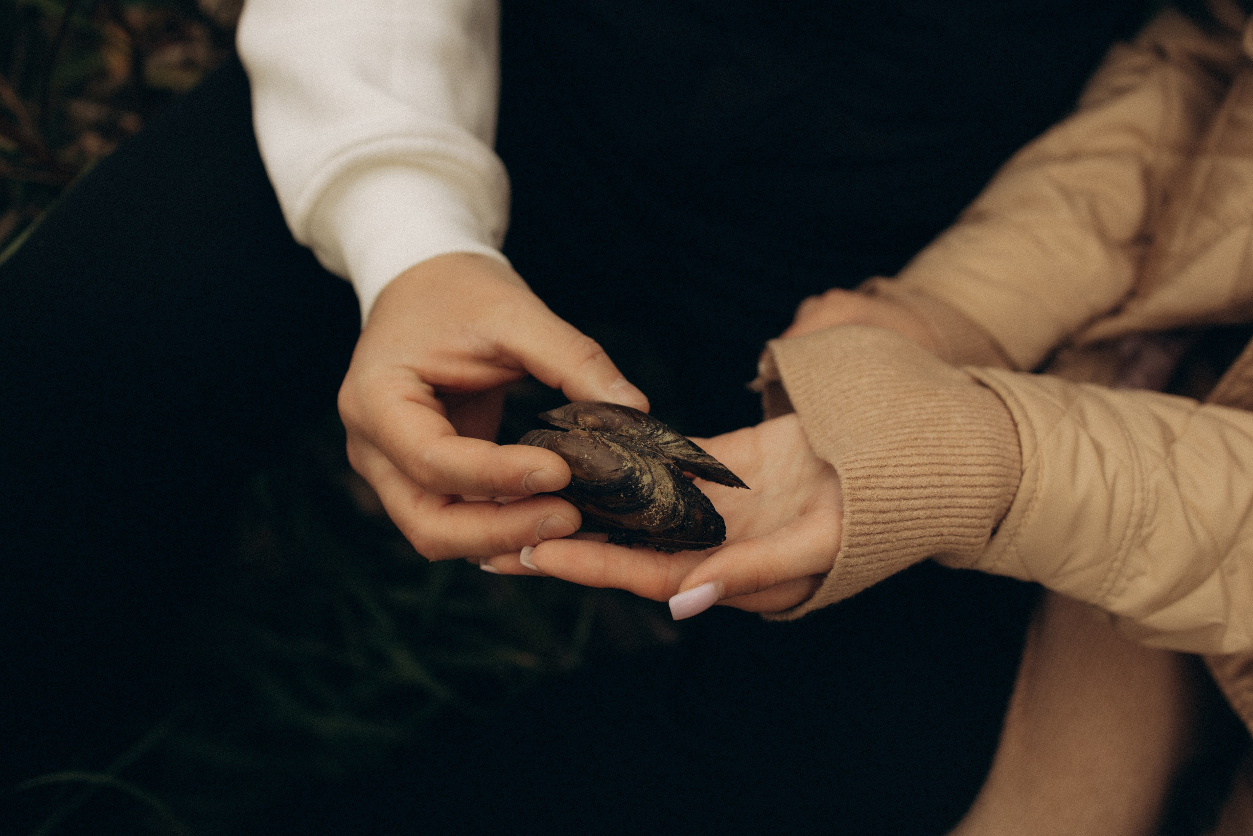 Вика, Рома, Егор. Фотограф в Туле и Алексине Стулова Мария