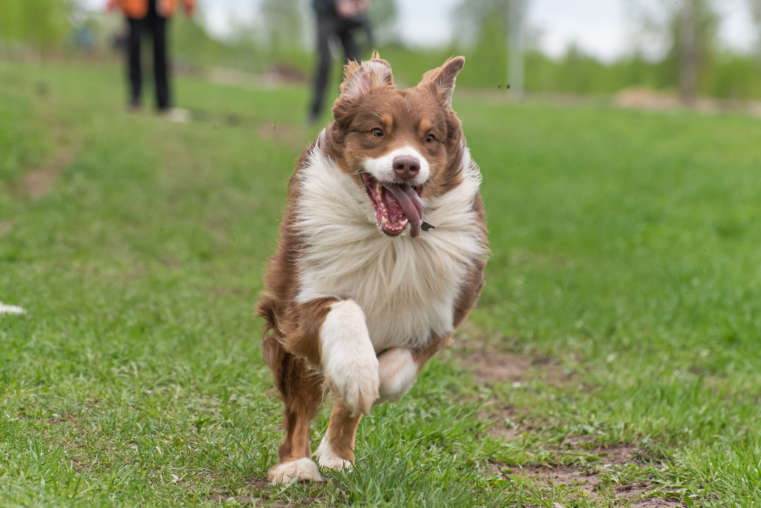 Фотографии с Курсинга. Фотограф Макс Огурцов в Нижнем Новгороде