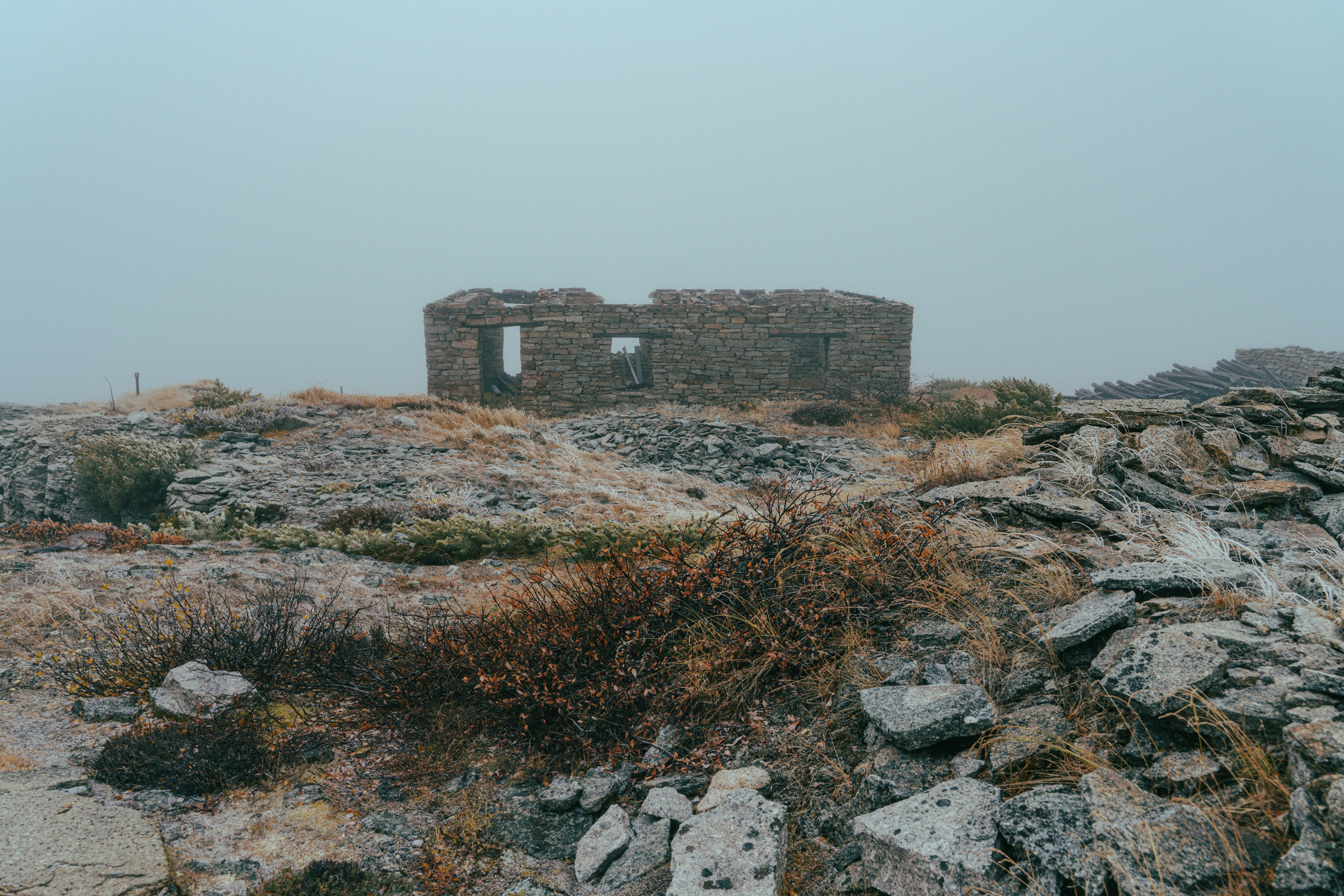 Планета Колыма. Элина Гусарова