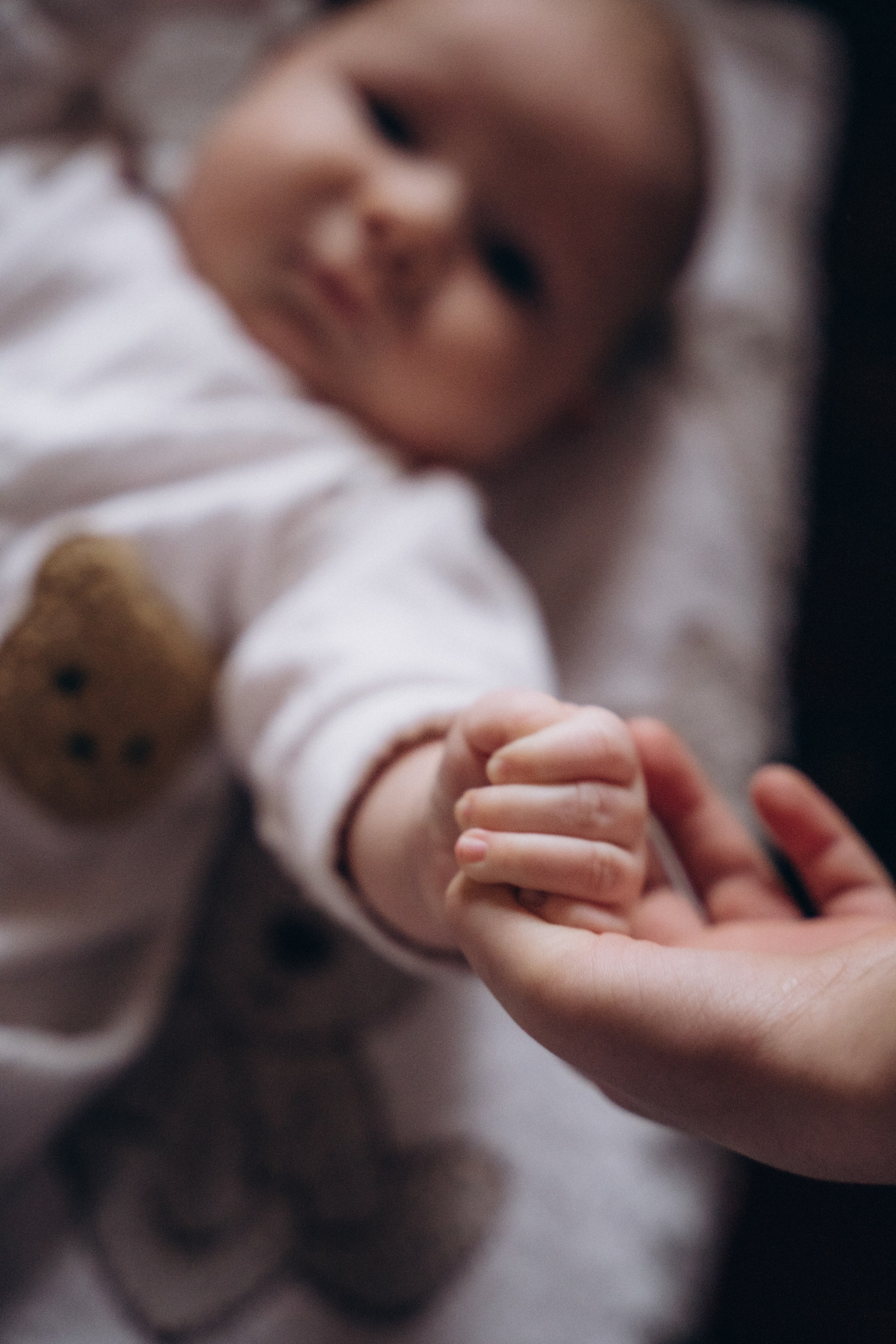 Тимофей. Аплас Анастасия