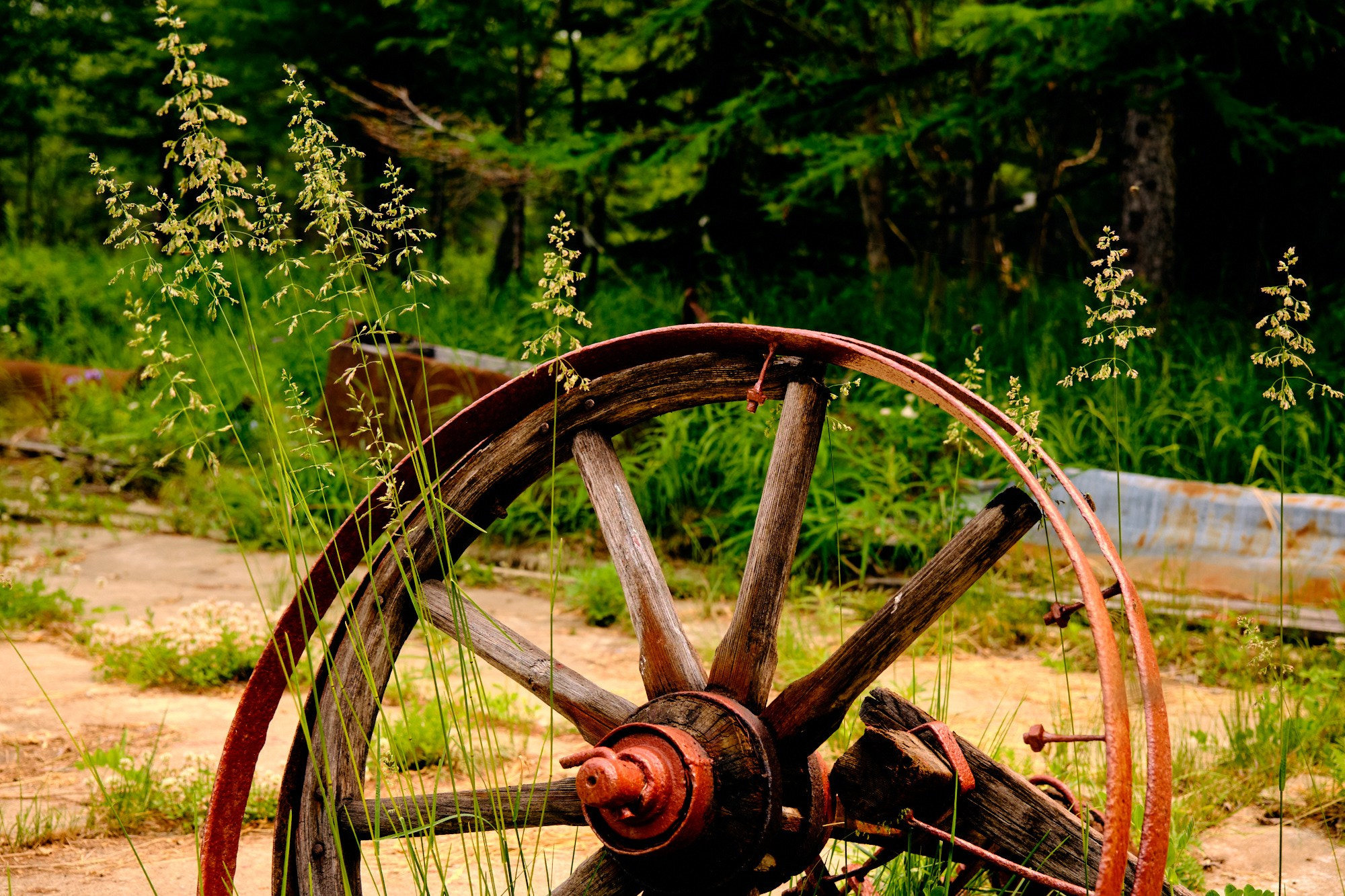 AQUATICS. Из Хабаровска до Шантарских островов. Юрий Березнюк. Фотожурналистика