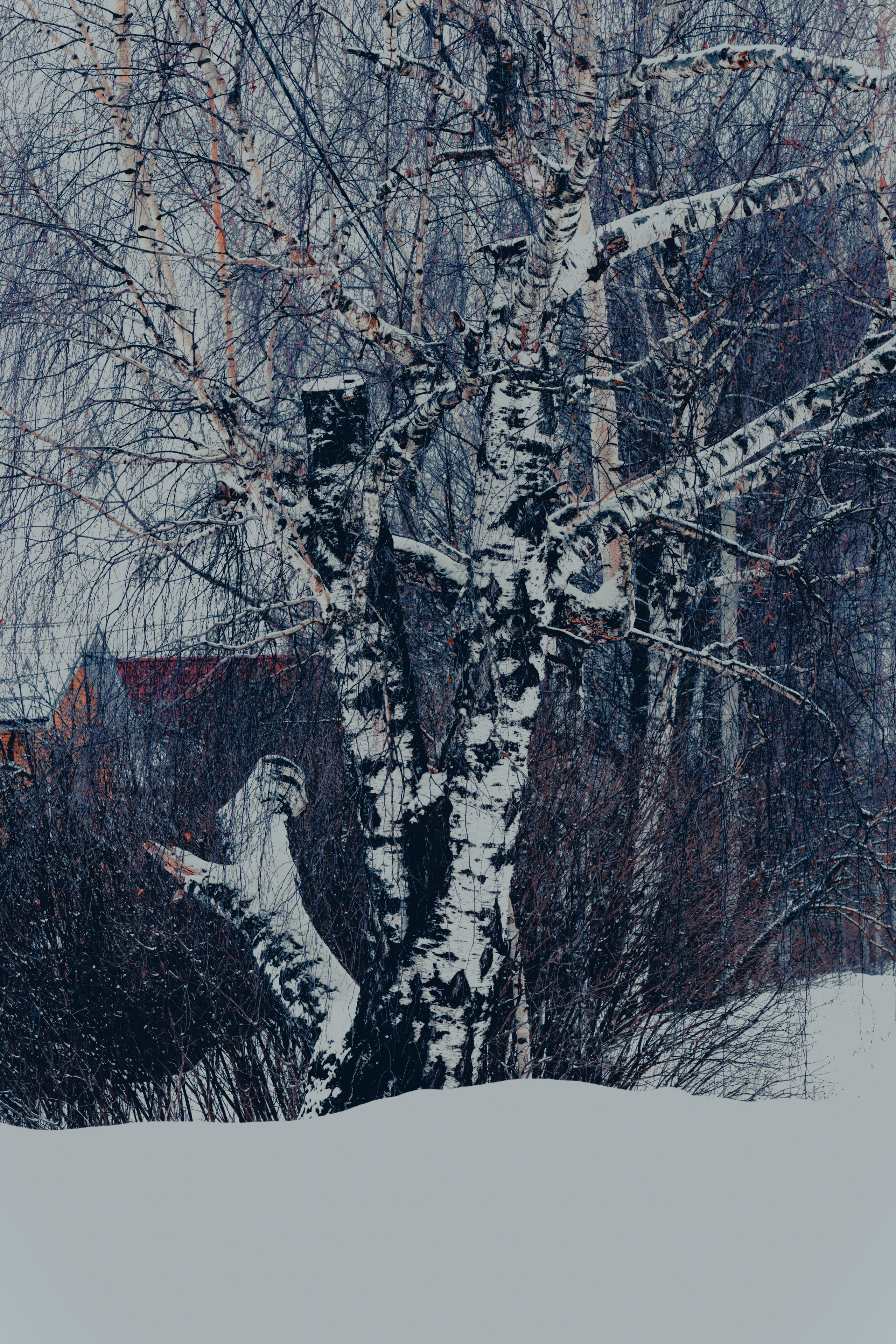 Живая планета. Фотограф художник модель Юра Козлов Москва