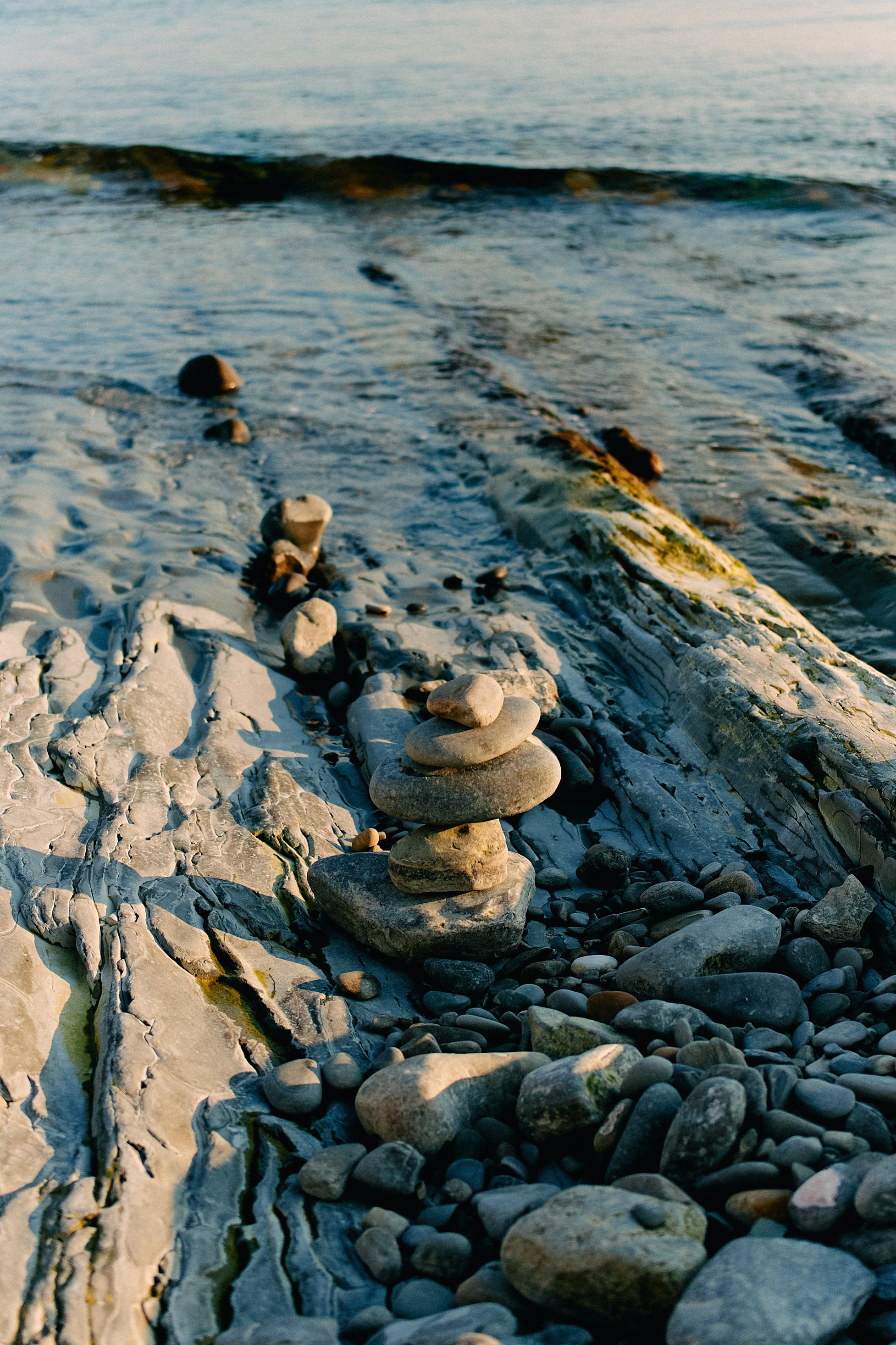Юг России. Профессиональный Фотограф во Владимире, в Москве и в Суздале — Полина Романычева