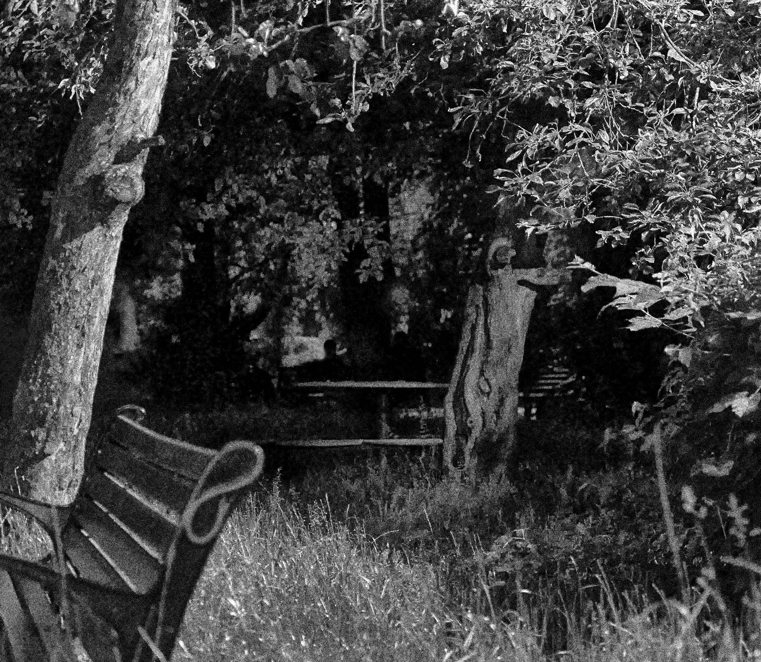 Фотоальбом с разными съёмками