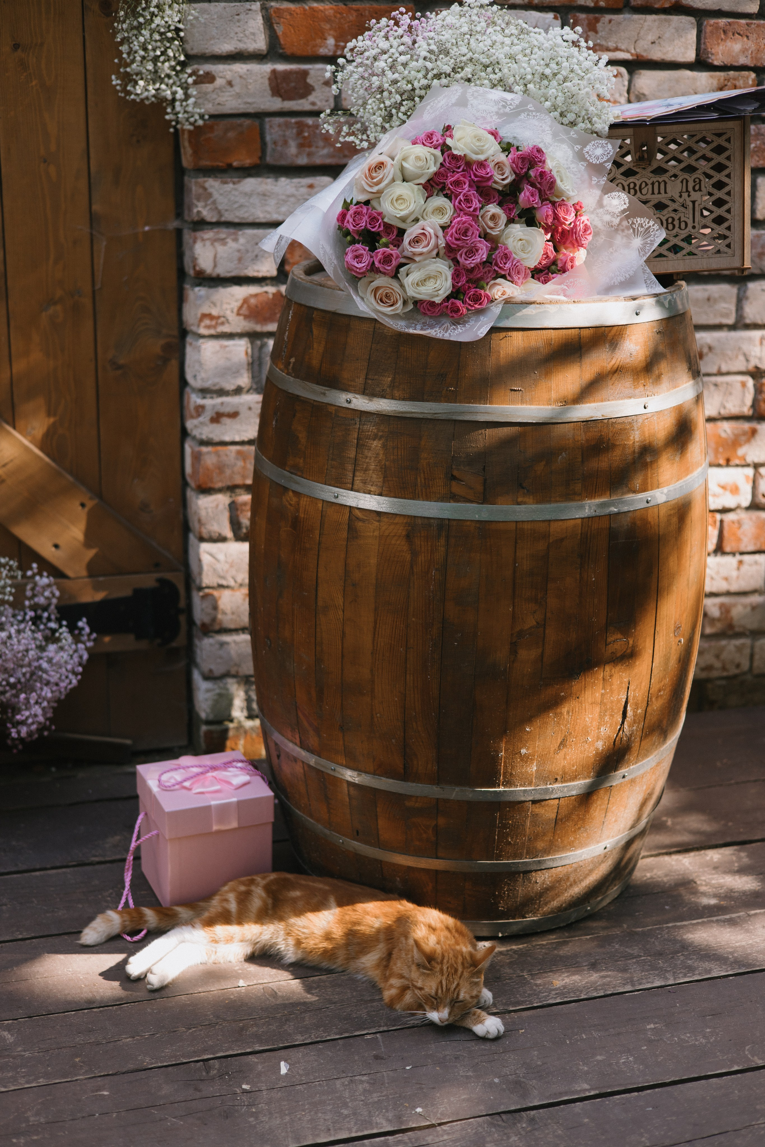 32 человека и 1 кот. Свадебный и семейный фотограф в Санкт-Петербурге и Москве