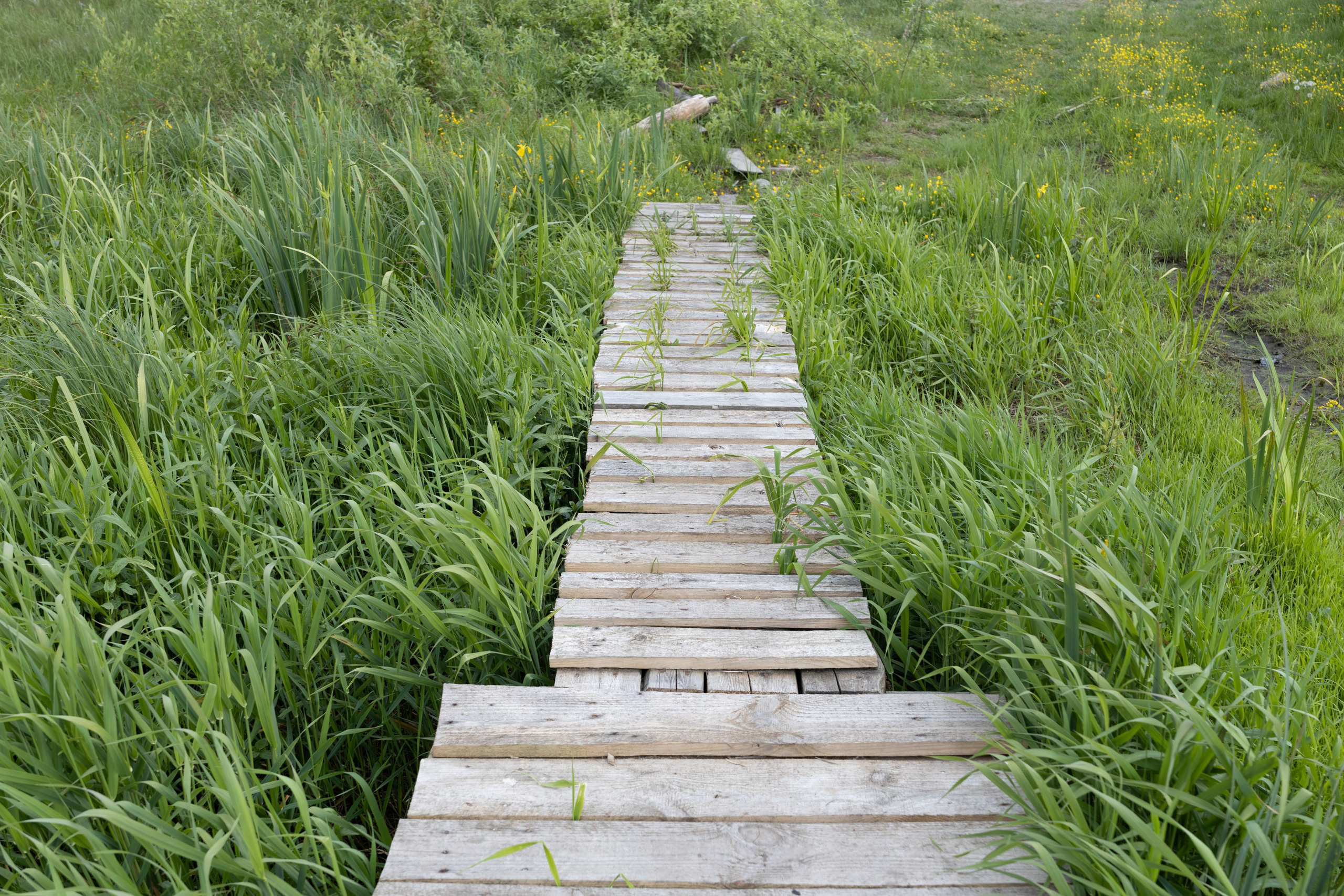 Около меня. Documentary photographer Anton Zdanovich