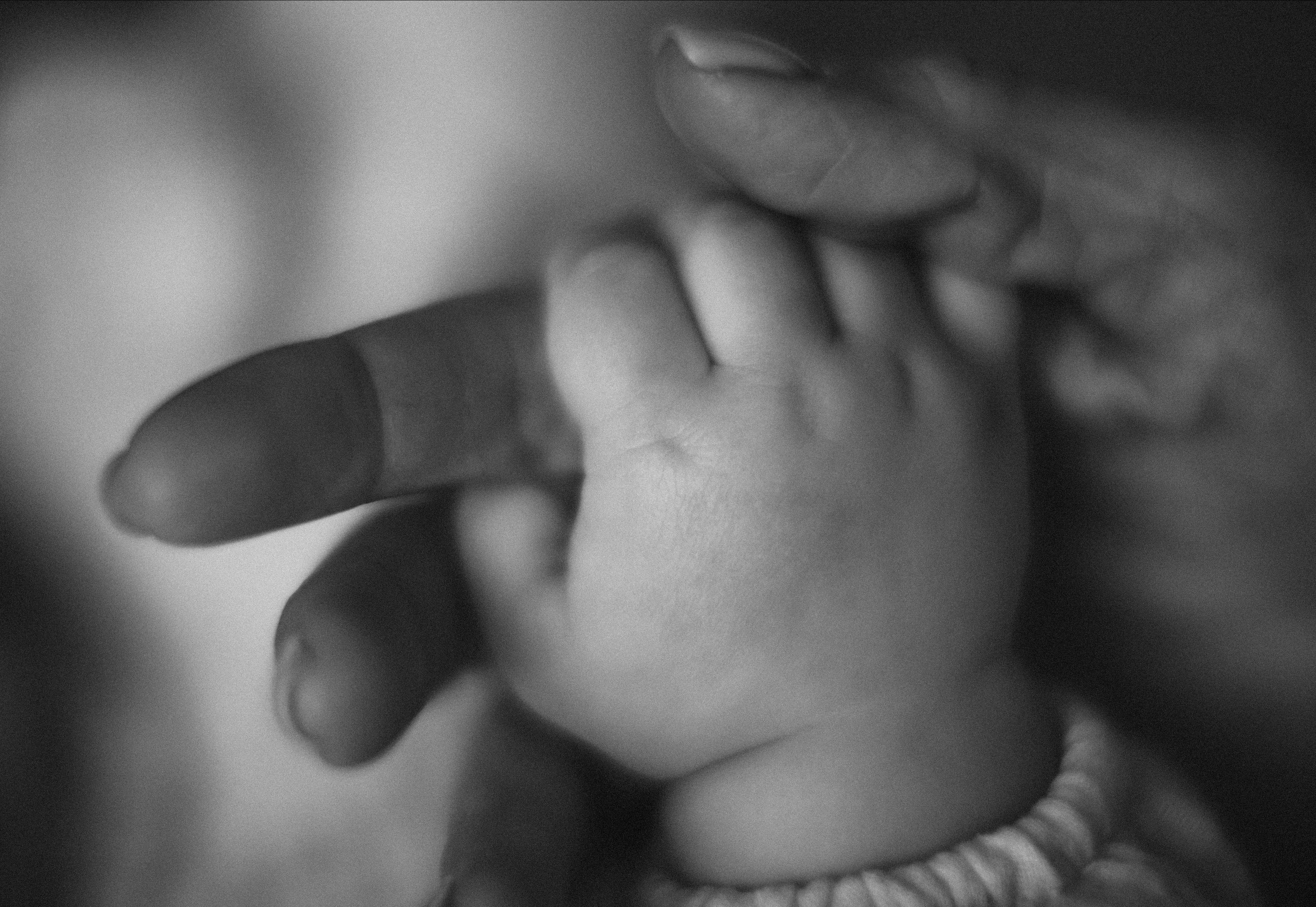 Семейные фотографии. Детский и семейный фотограф Татьяна Рыбалко. Фотосессии у вас дома