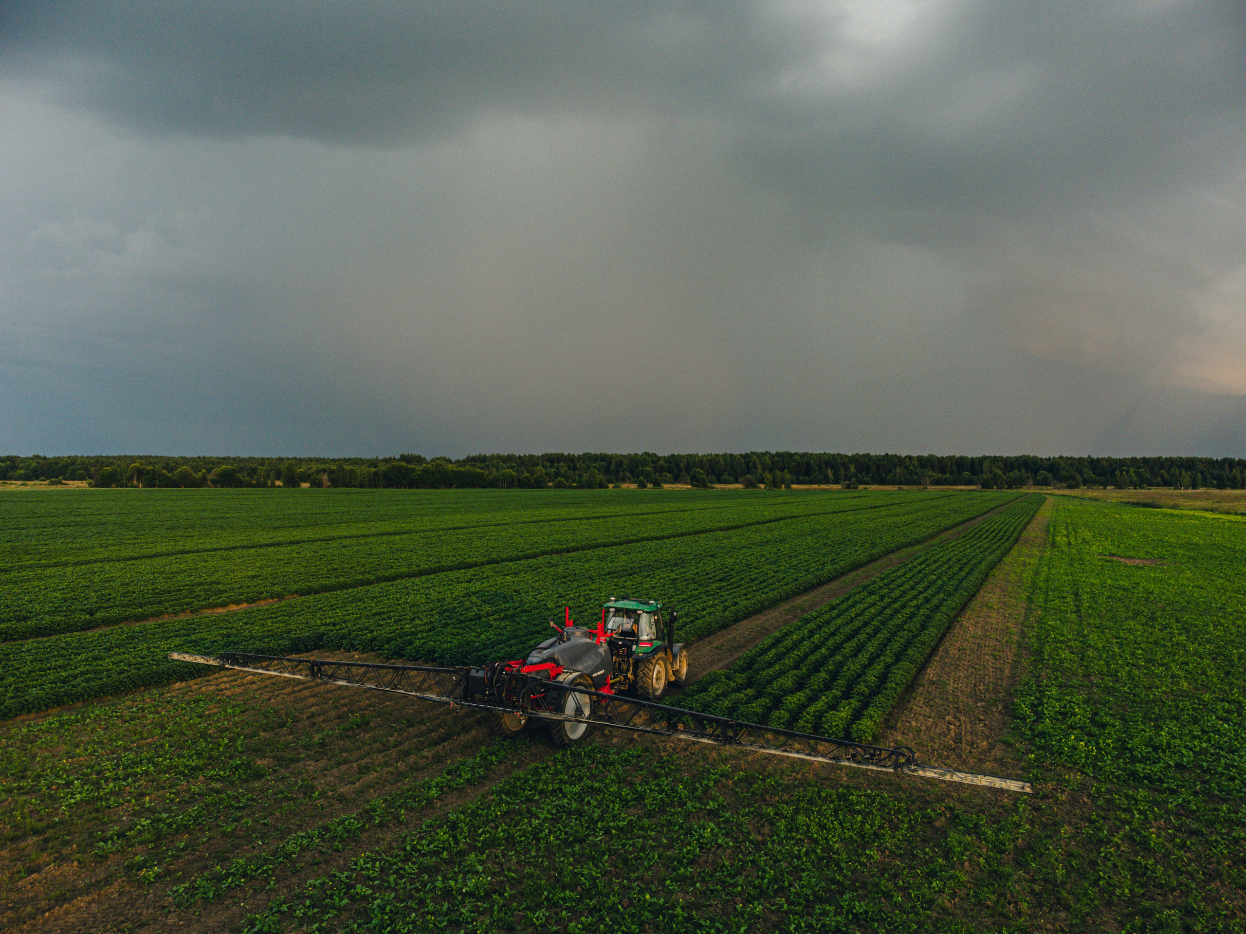 Удобрение картофеля при помощи трактора