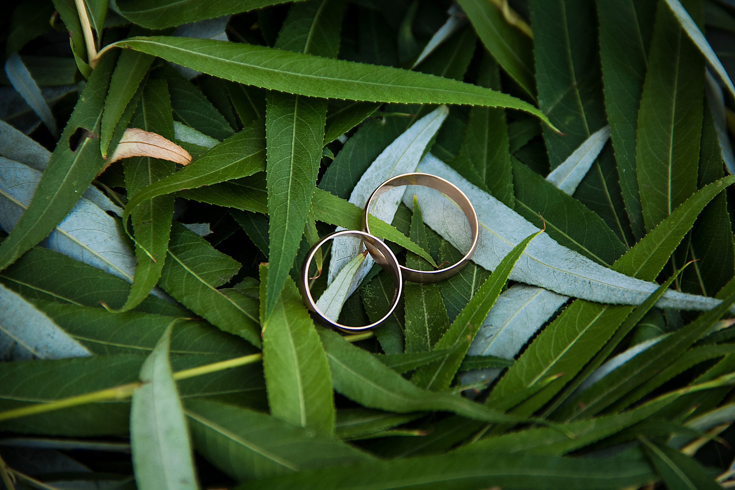 Фотограф в Самаре, Москве Снежана Фадеева