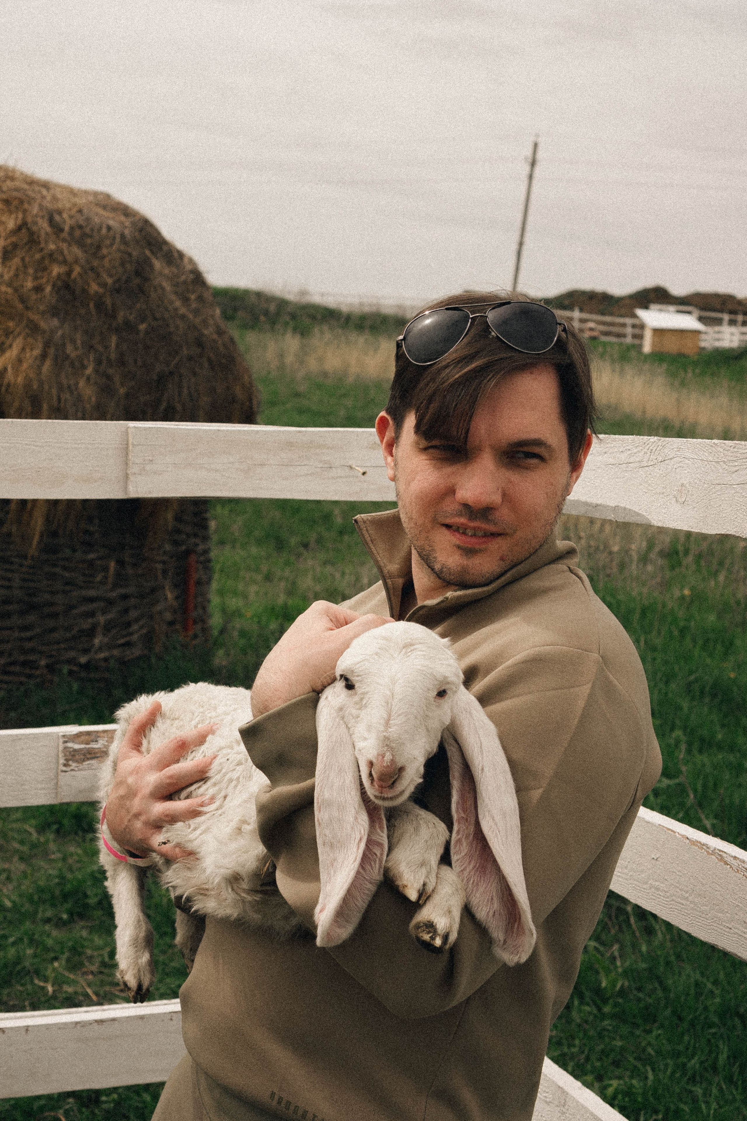 Ферма Альпак. Профессиональный фотограф, Санкт-Петербург — Виктория Богомолова