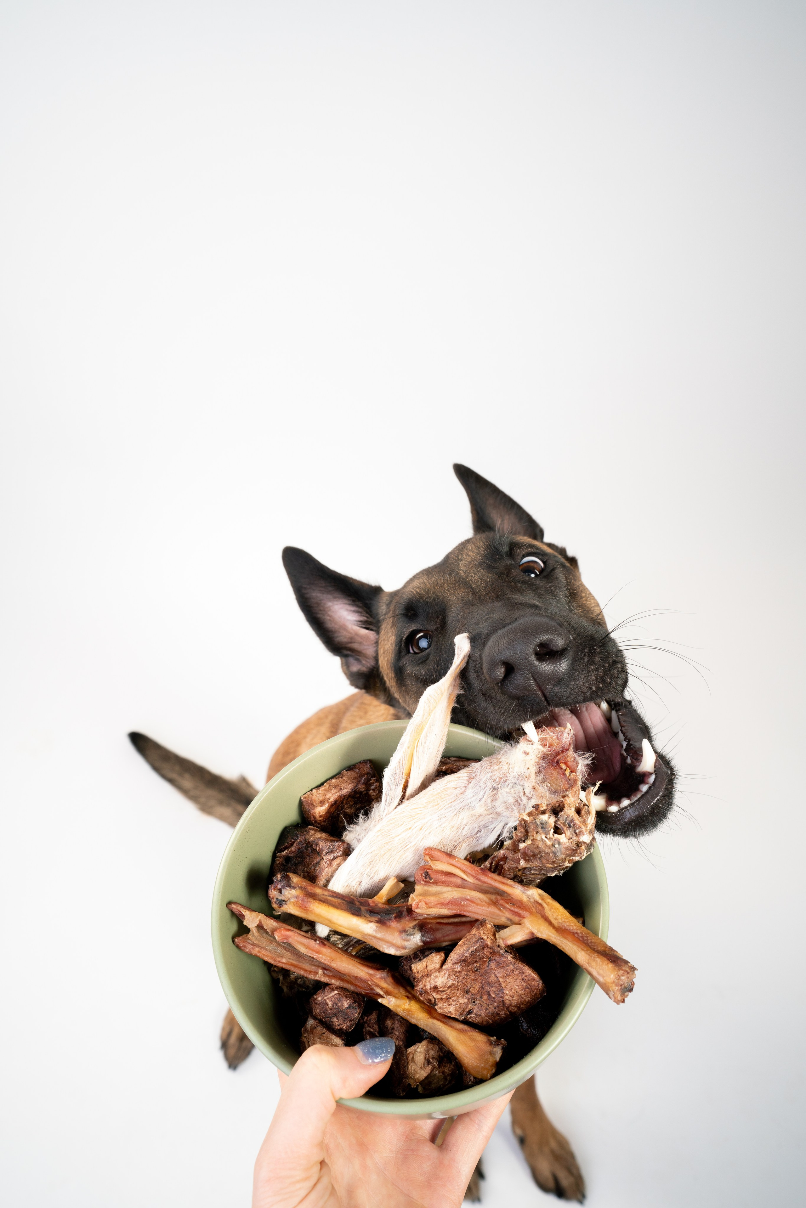 Лакомства Woofa. Фотограф анималист Осипчикова Мария