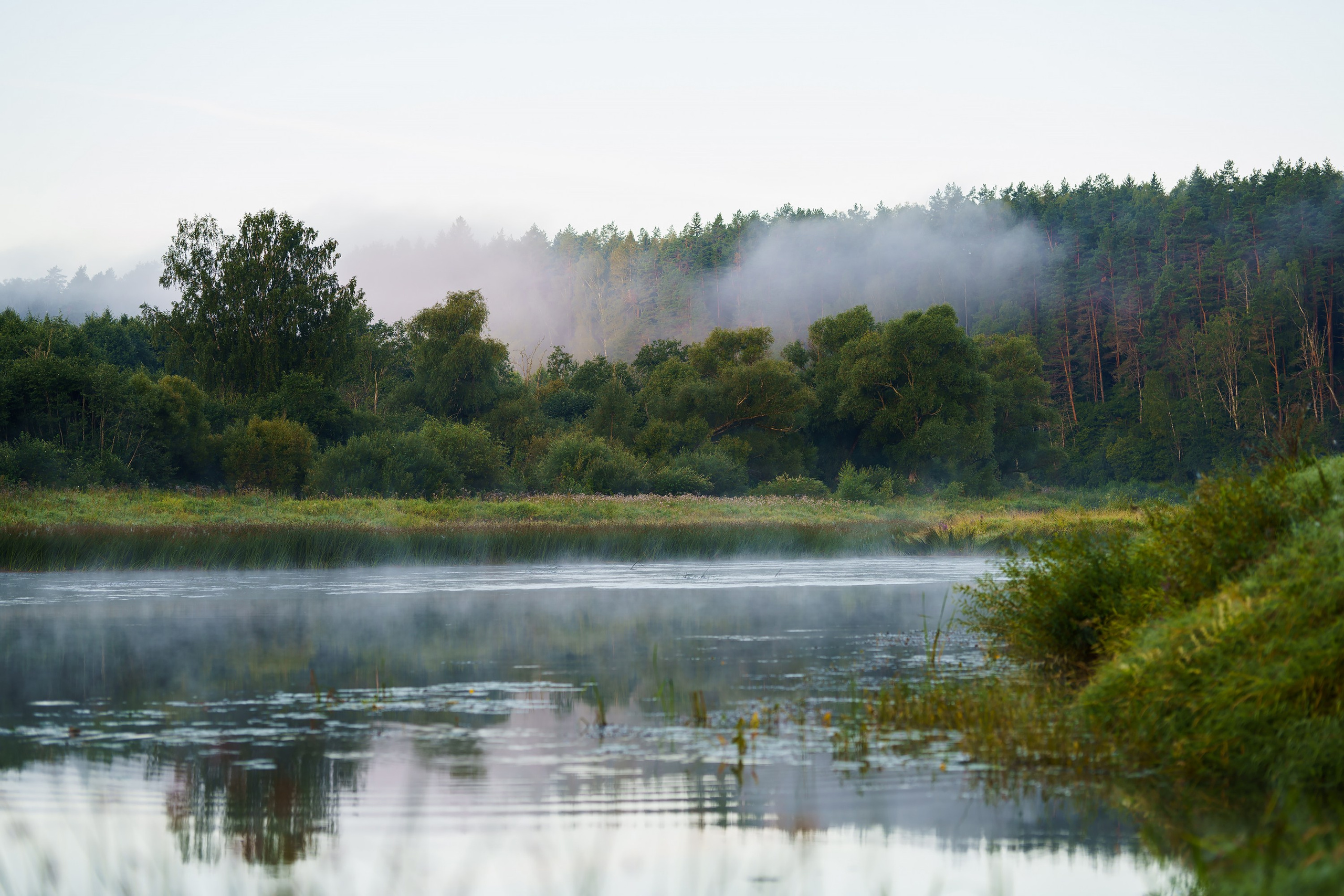 Фотографии Национальный парк Угра. Фотограф спортивные события, недвижимость, турбизнес