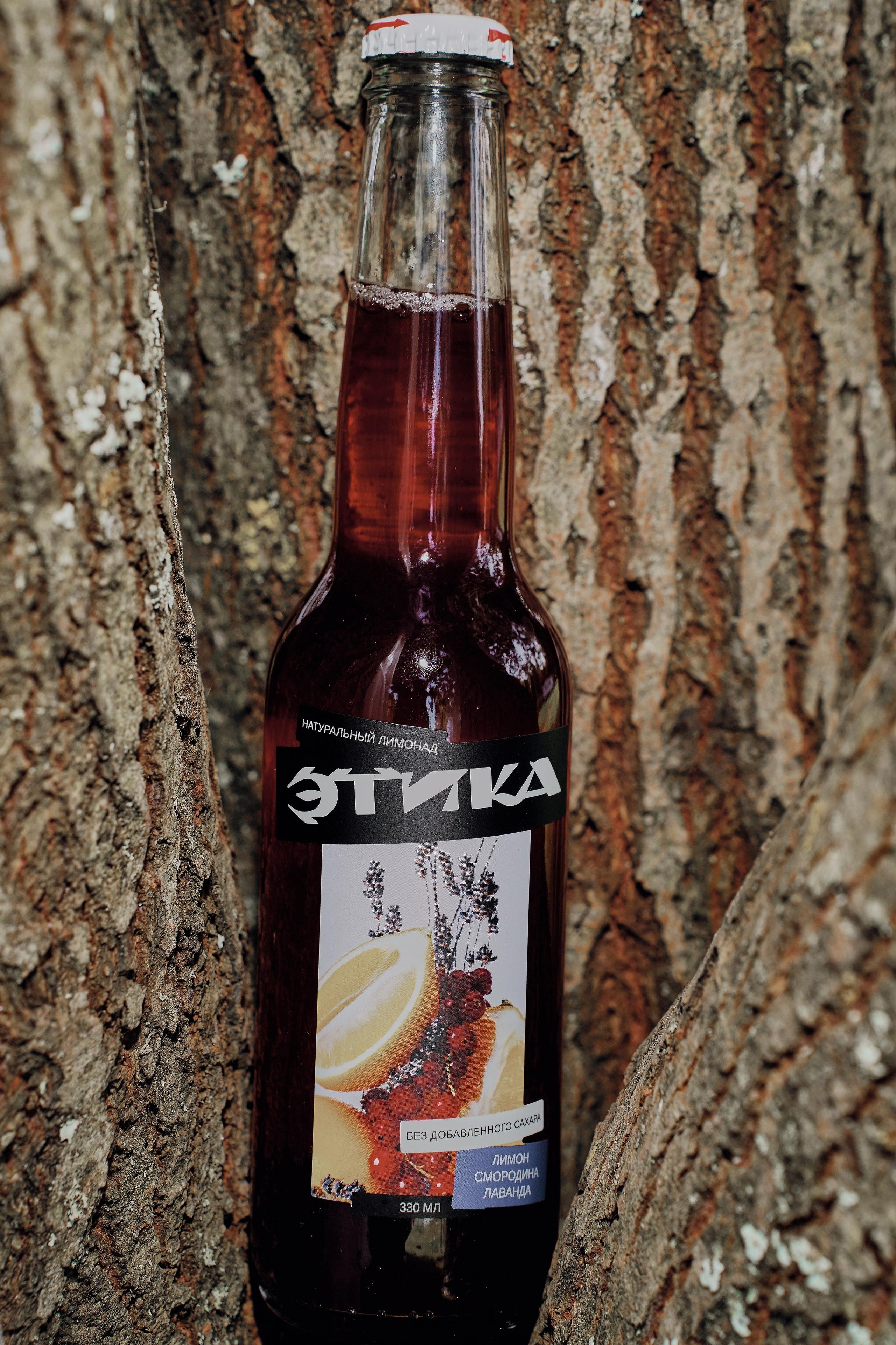 SLAVIC PARTY. Фотограф