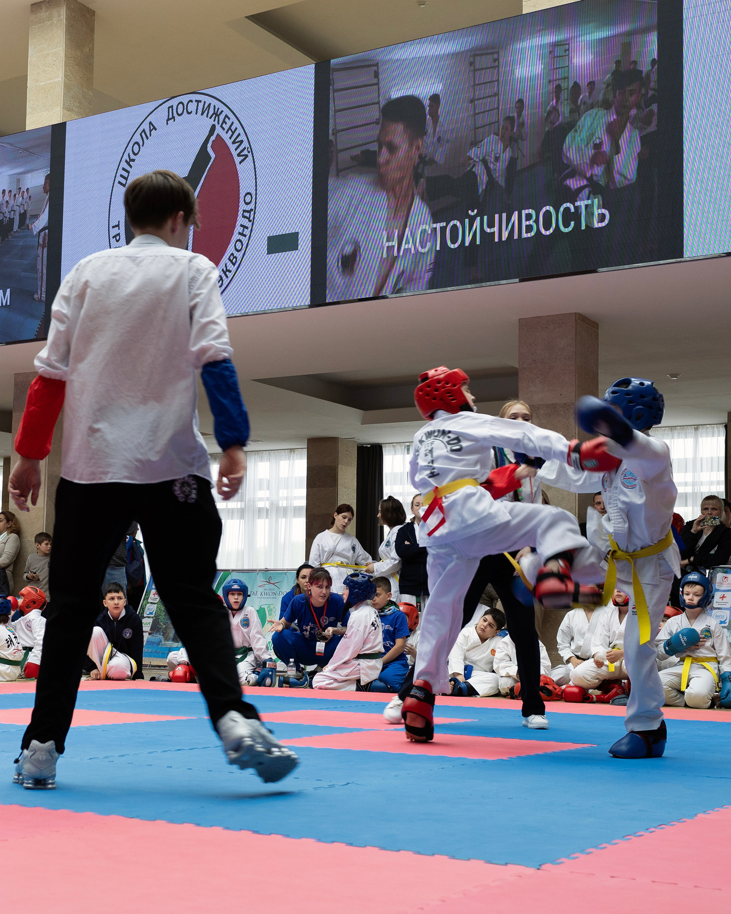 Фото турнира по Тхеквондо, проводимого в г. Железноводске. Медиапродюсер, фотограф в Минеральных Водах —Виктор Холодов
