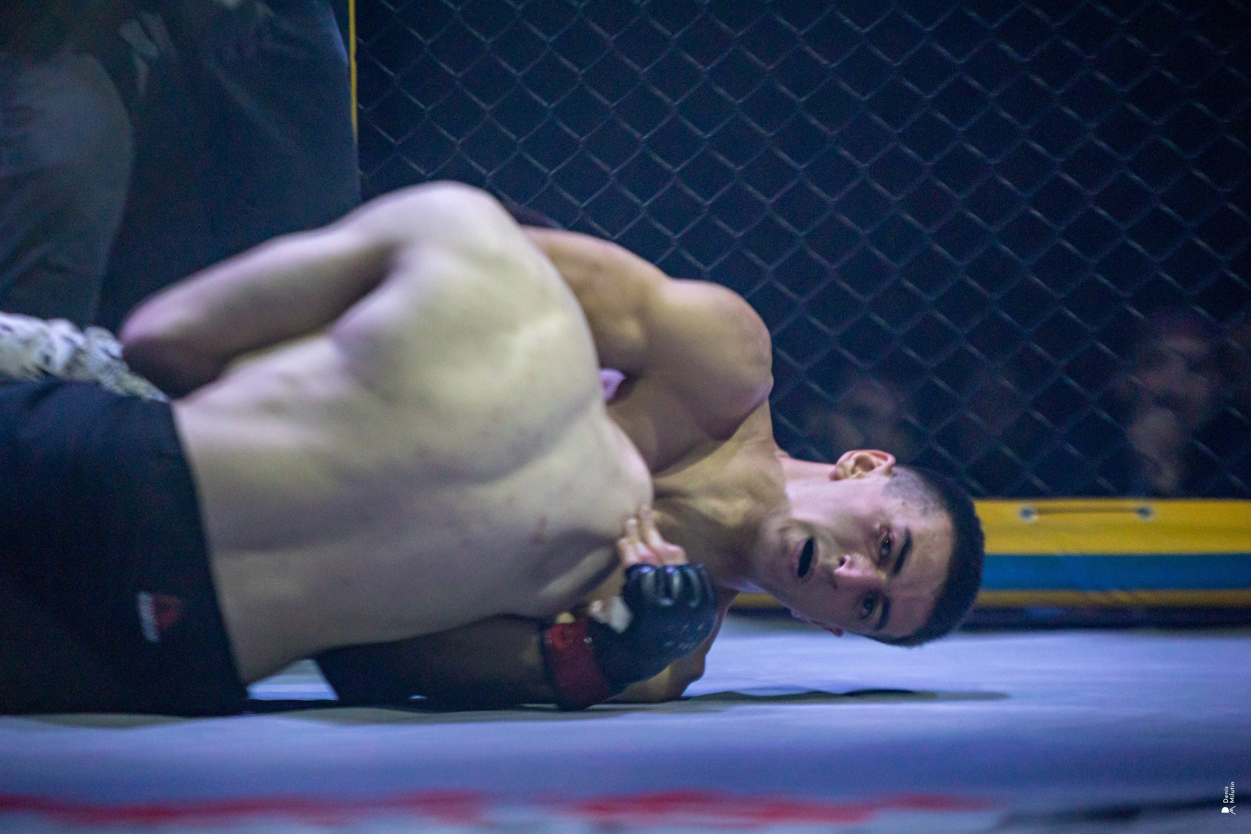 Бои в клетке «Северный Воин». Портретный фотограф Денис Милютин