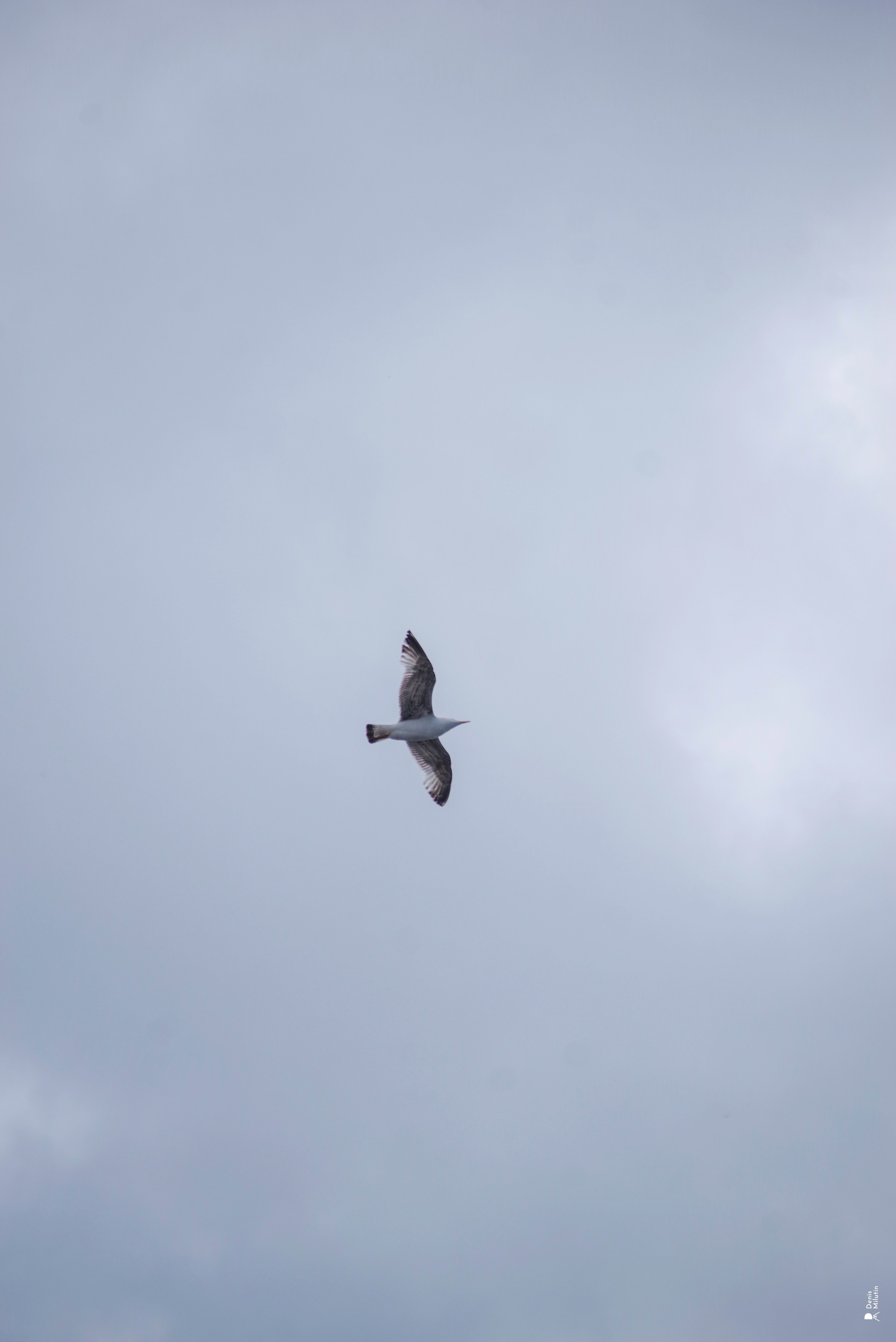 В отпуске с Артёмом. Портретный фотограф Денис Милютин