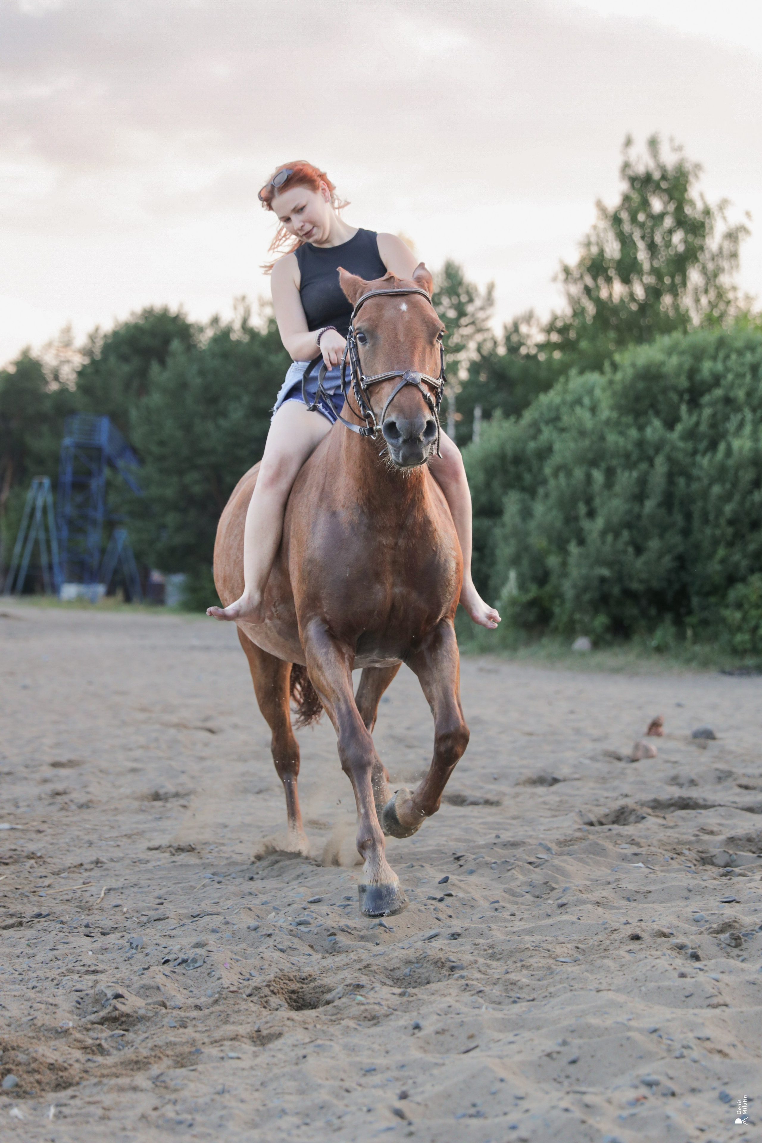 Фото с лошадьми. Портретный фотограф Денис Милютин