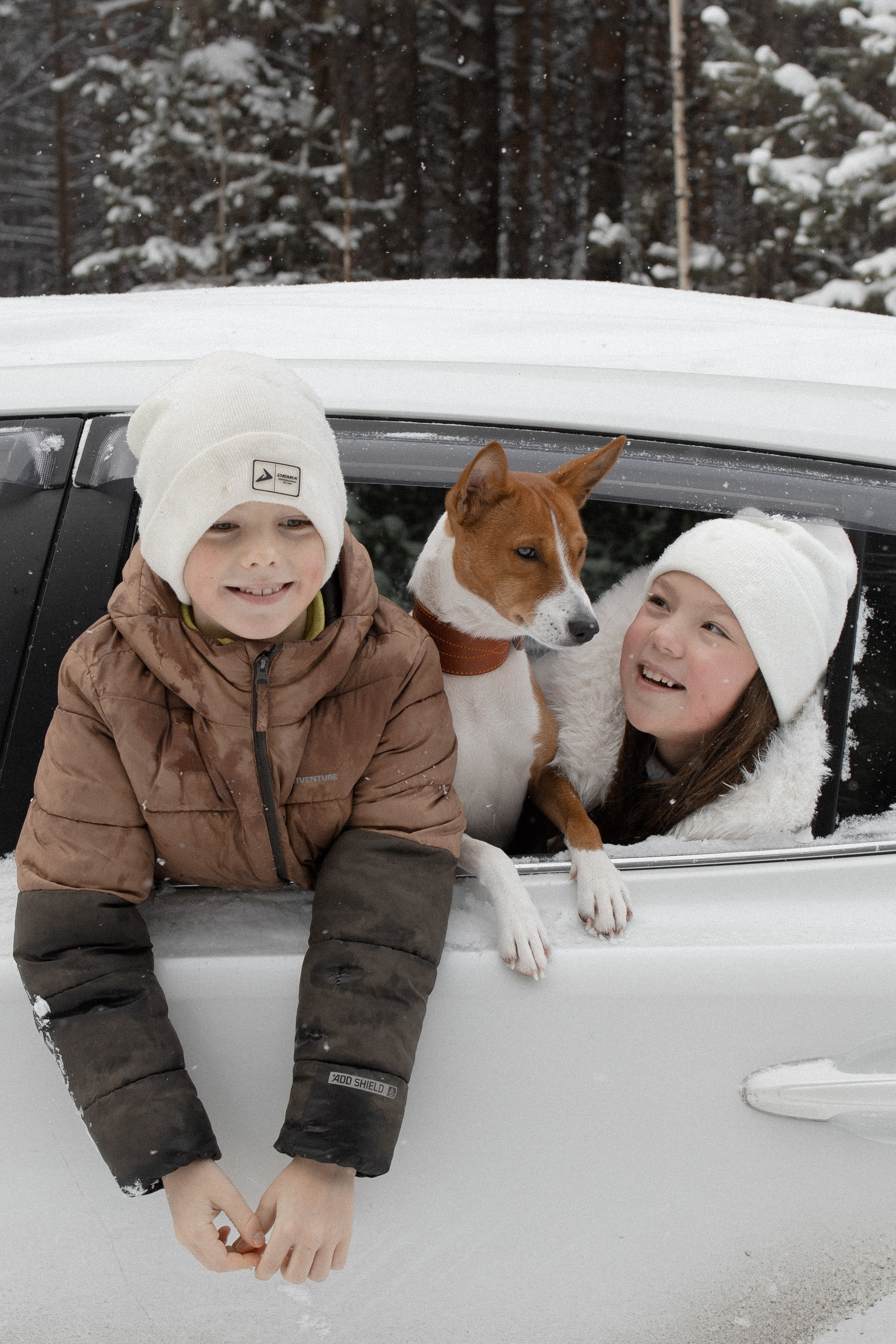 Семья Куркиных | 2026