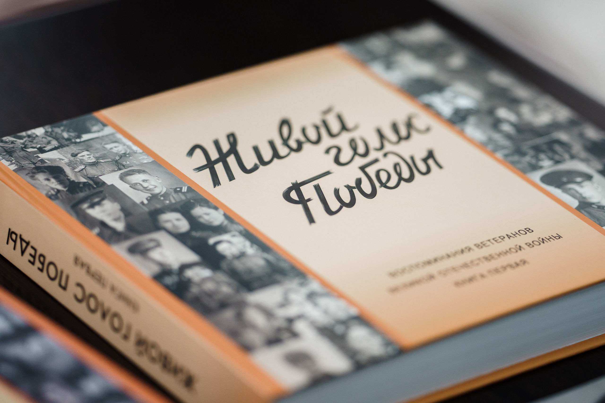 Встреча Ветеранов Великой Отечественной Войны. Репортажный фотограф Сергей Сажин г. Ярославль