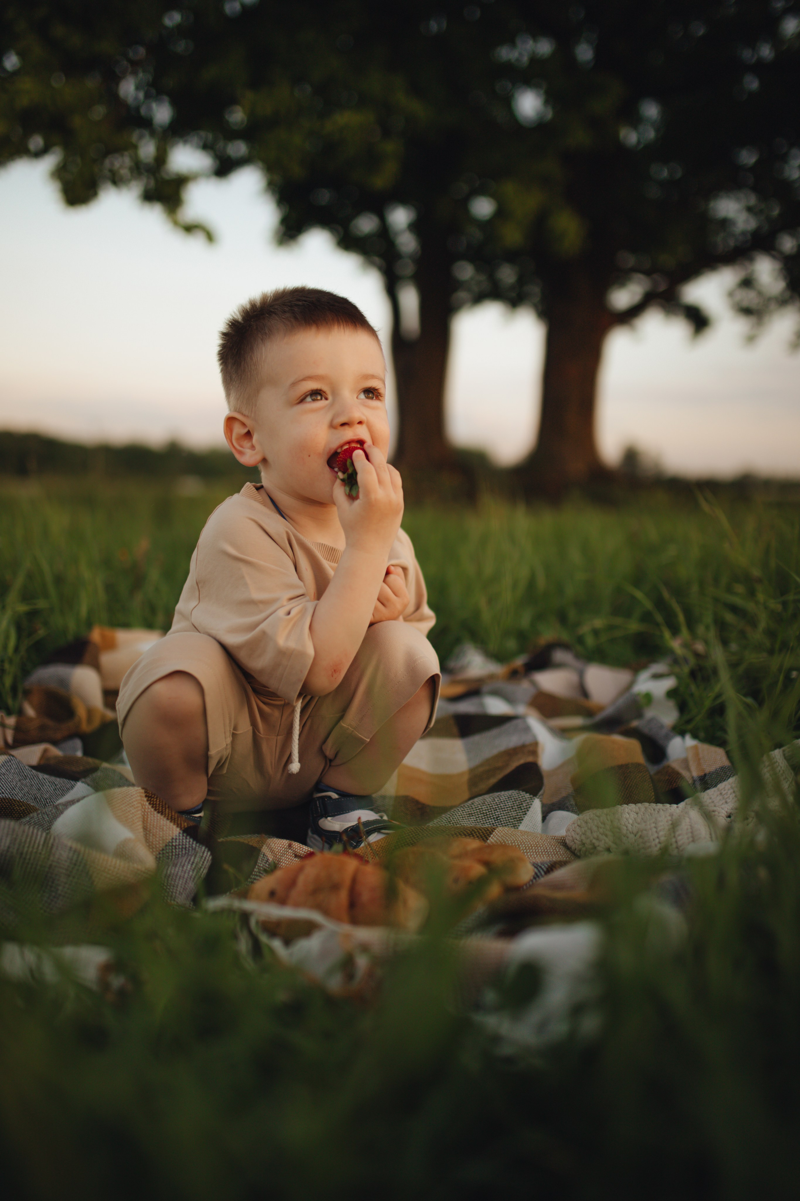 В поле на закате. Фотограф Винокурова Кристина в Санкт-Петербурге