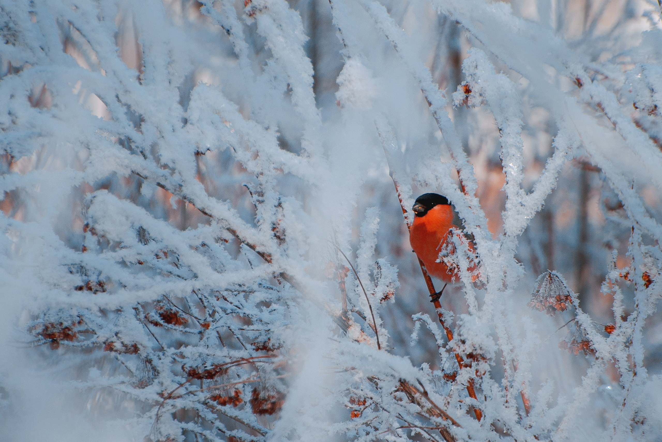 Фотозарисовки. Фотограф Валерия Азамат — жизнь в каждом кадре