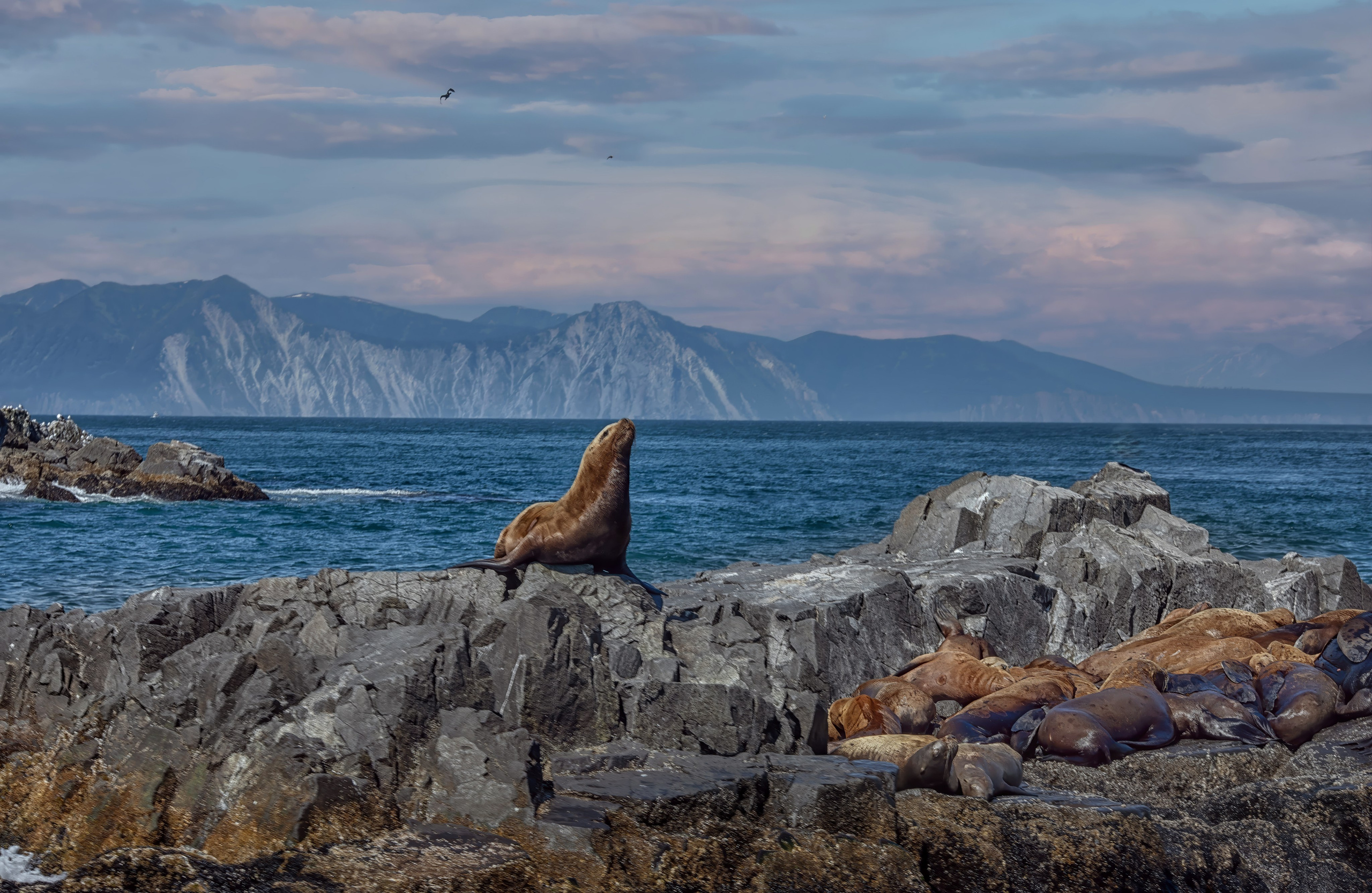 Пейзаж. Фотограф Наталья Туева FineArt съёмка