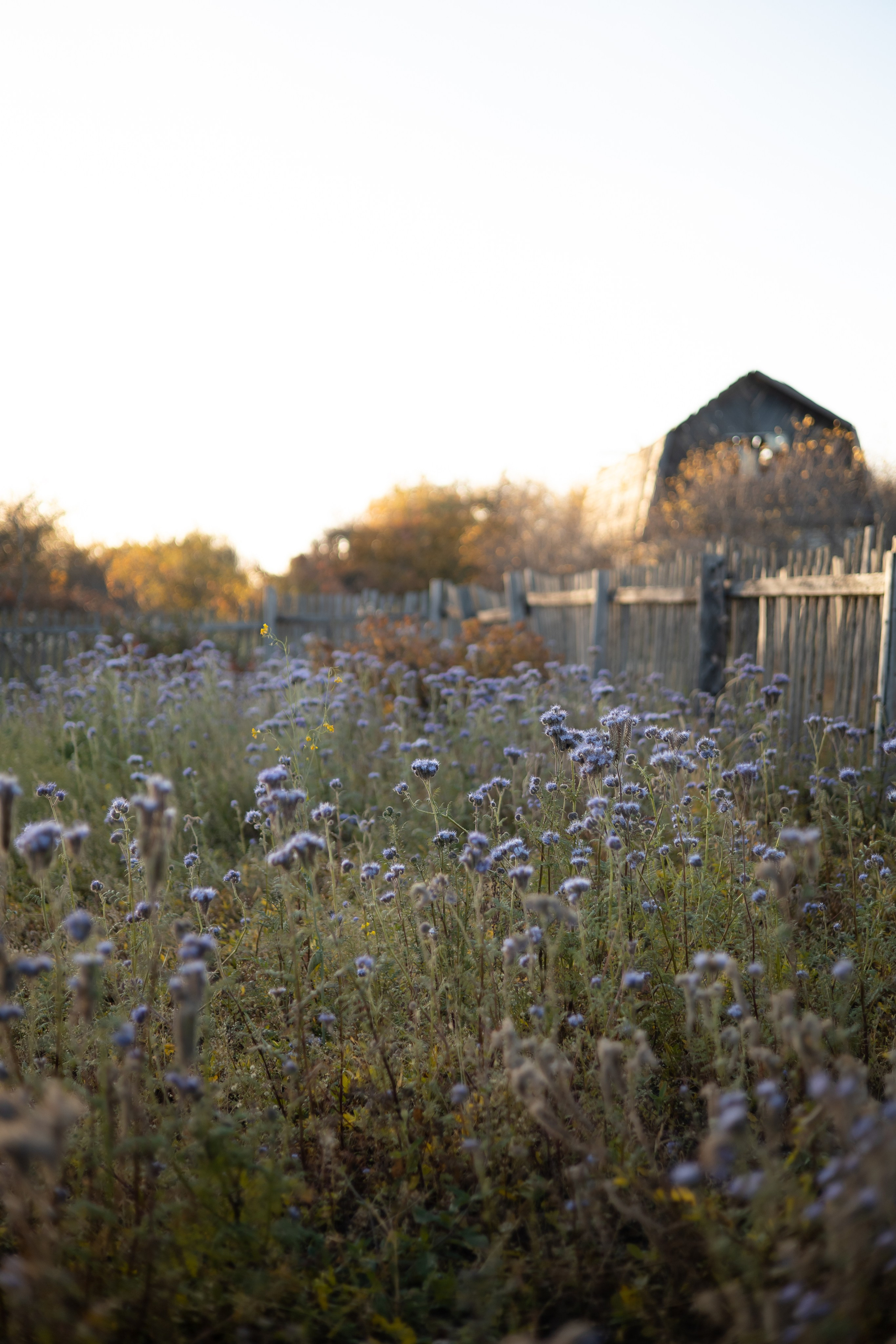 Ляйсан и Антон. Фотограф Элла Ефимова