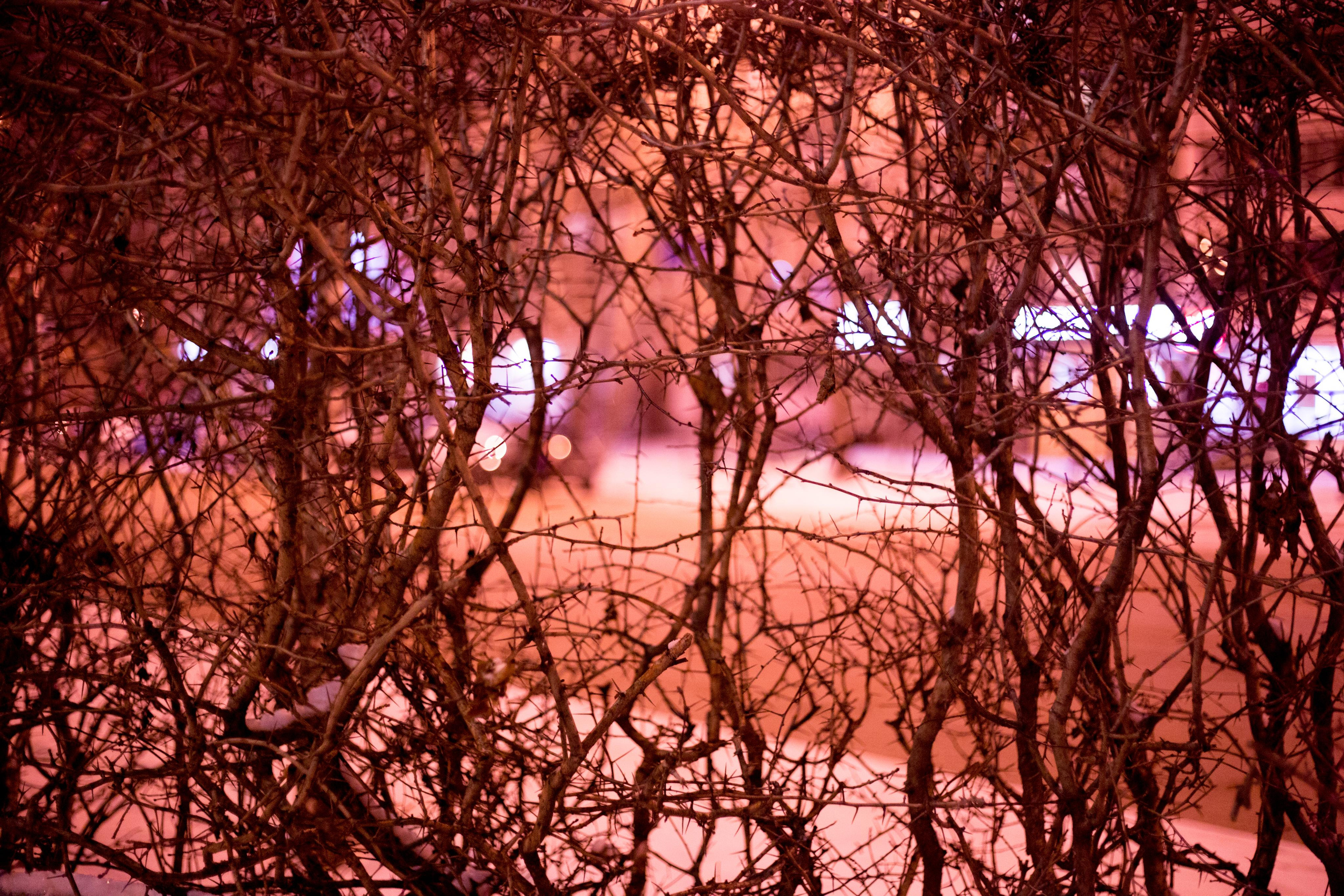 Виды Перми и окрестностей. Фотограф Никита Попов. Фотограф Пермь. Фотосессия в фотостудии Перми и на свежем воздухе