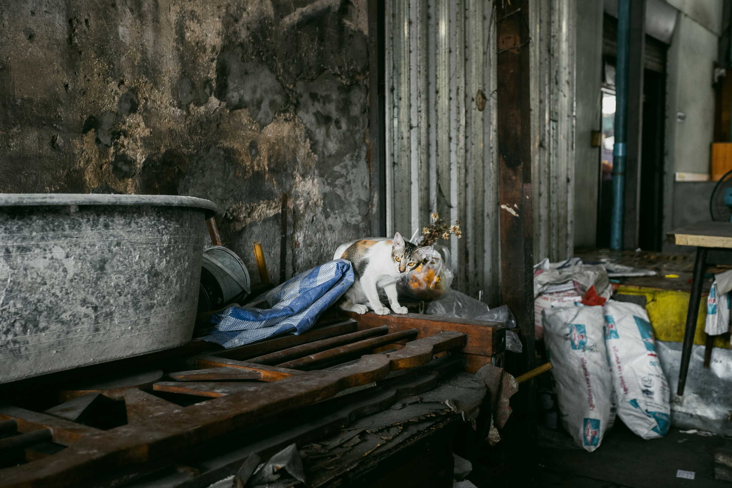 Bangkok. Фотограф Сонкина Татьяна