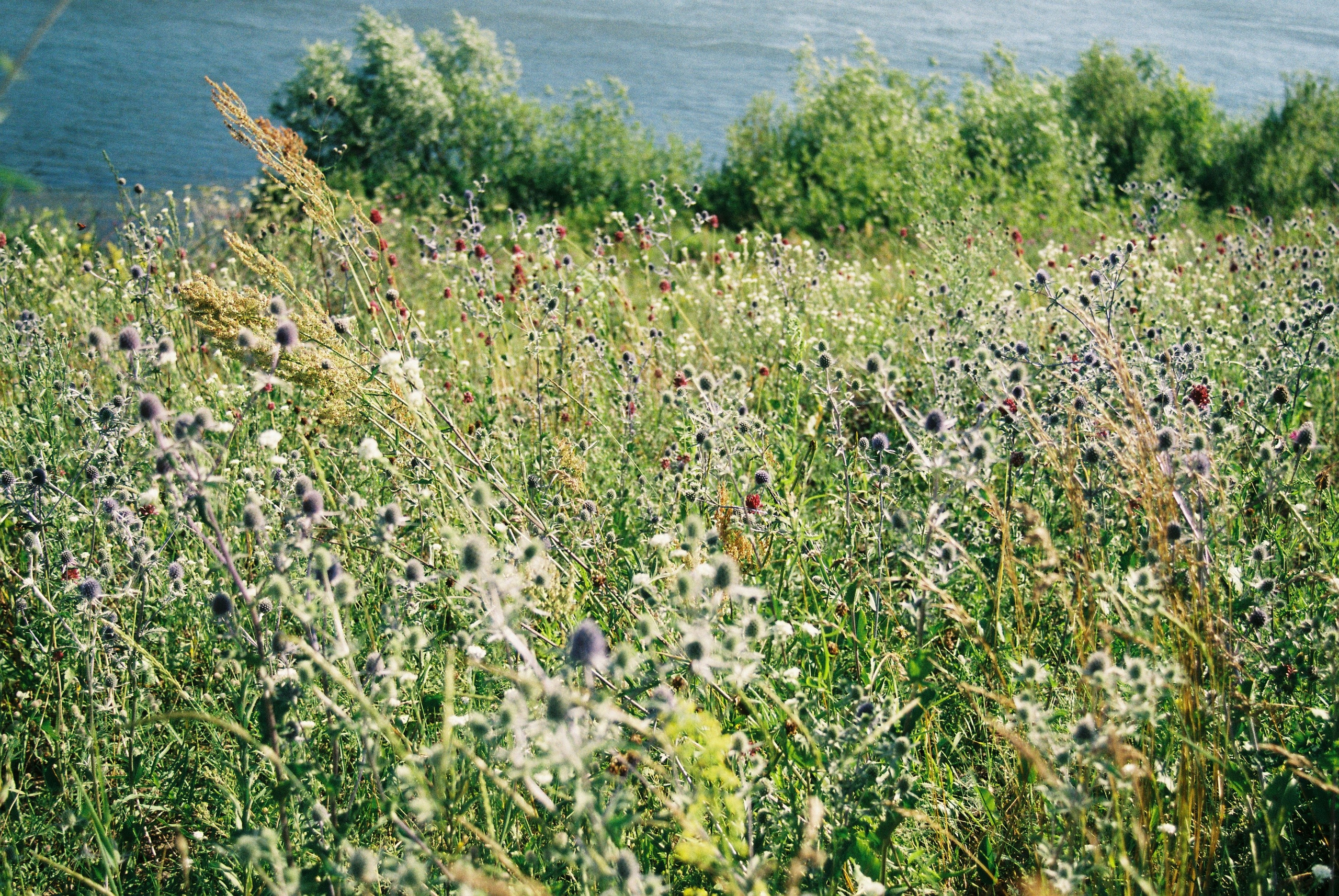 KALUGA. ANNA — PHOTOGRAPHER