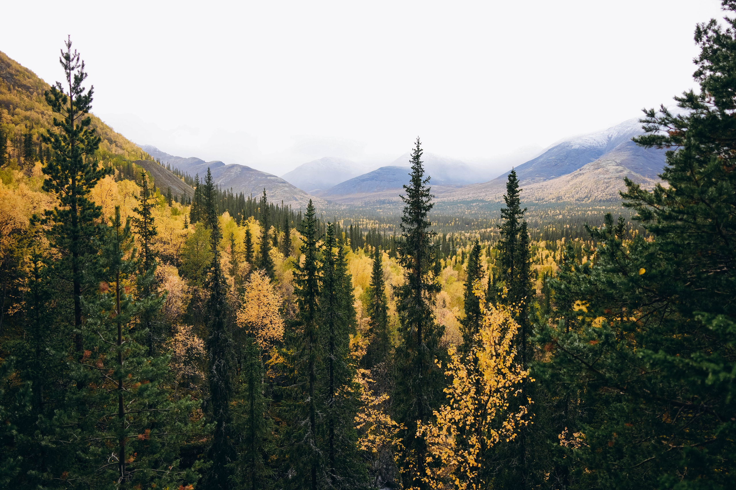 СЕВЕР. Event фотограф Степанова Александра