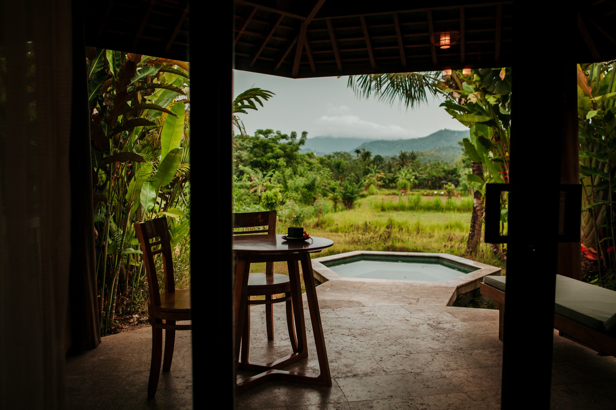 Вилла Sunrise Bali. Виолетта Скрипка