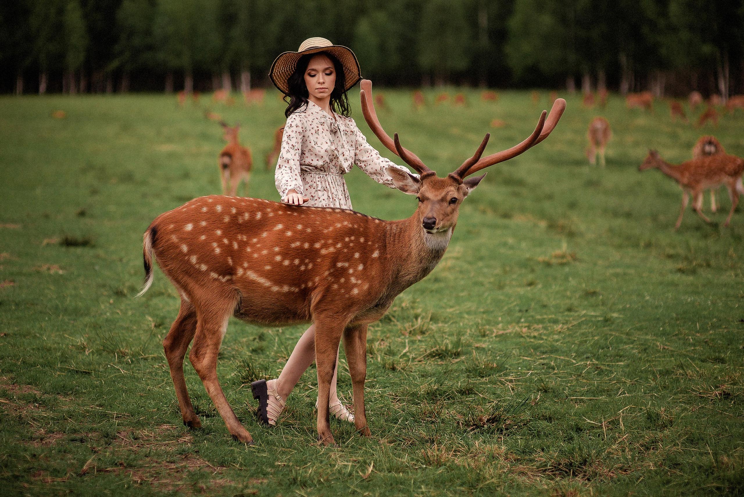 Индивидуальная. Свадебный Фотограф в Твери Анастасия Булкина