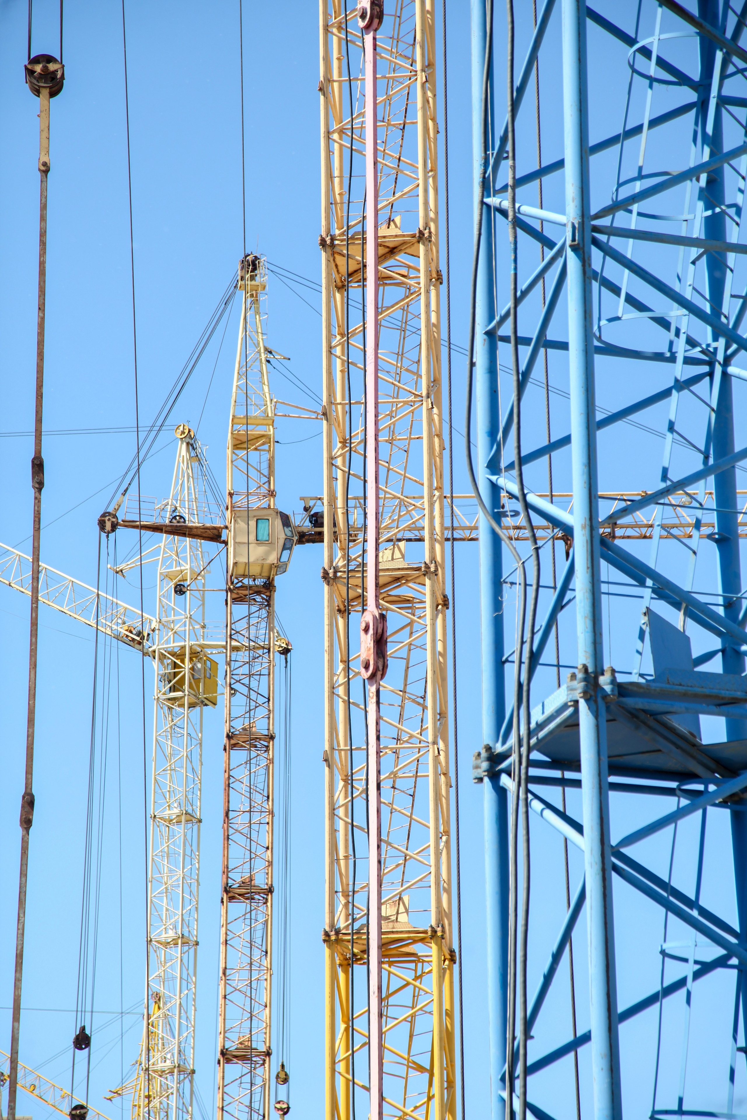 Репортажный фотограф Анастасия Богданова из Тюмени
