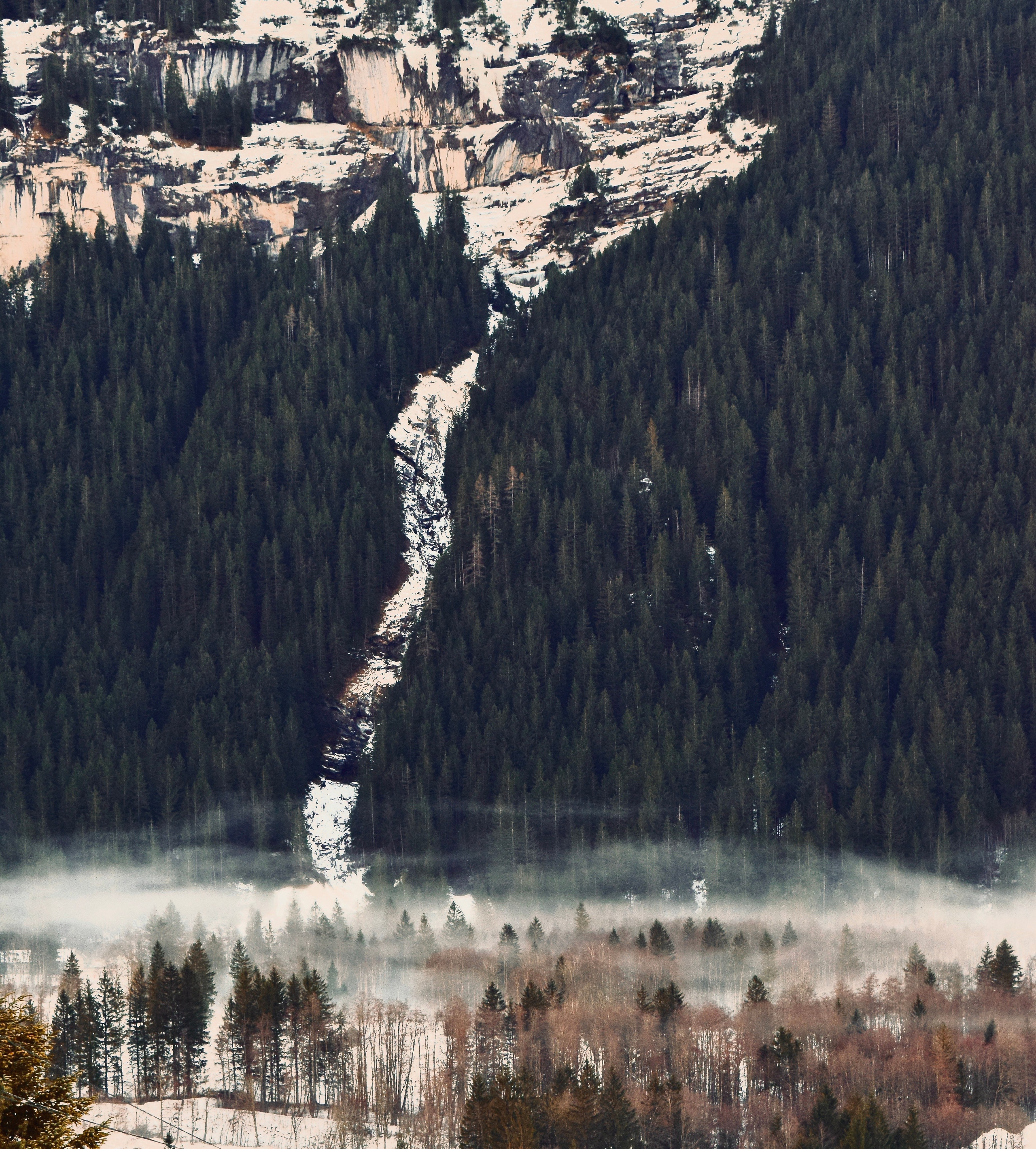 Портфолио. Фотограф в Москве