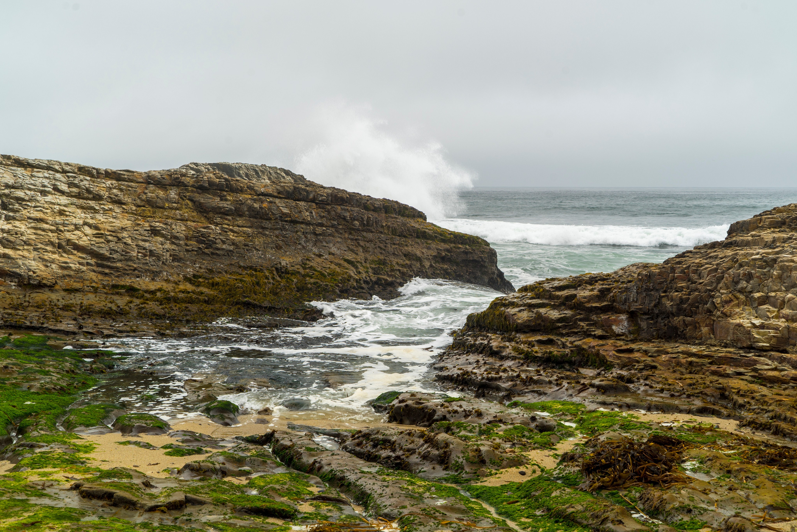 Природа. Василий Буйлов|Vasilii Builov