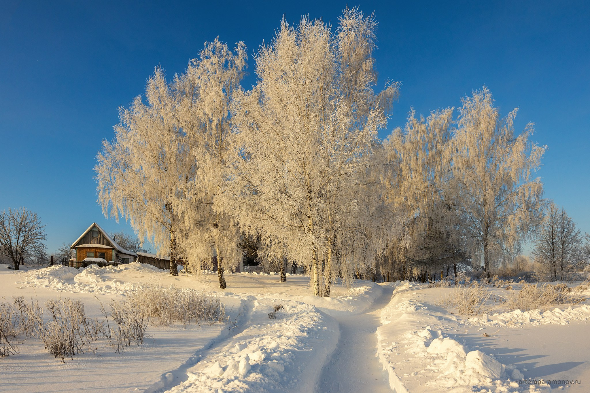 Русская зима в деревне. Фотохудожник Артём Парамонов