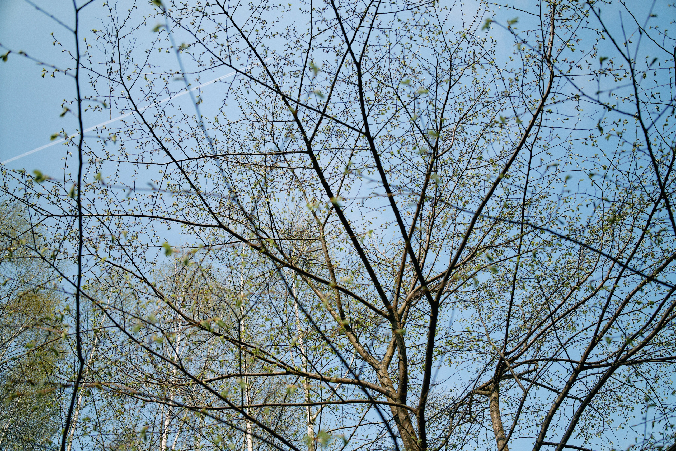Бутик-отель Поле летом. Профессиональный Фотограф во Владимире, в Москве и в Суздале — Полина Романычева